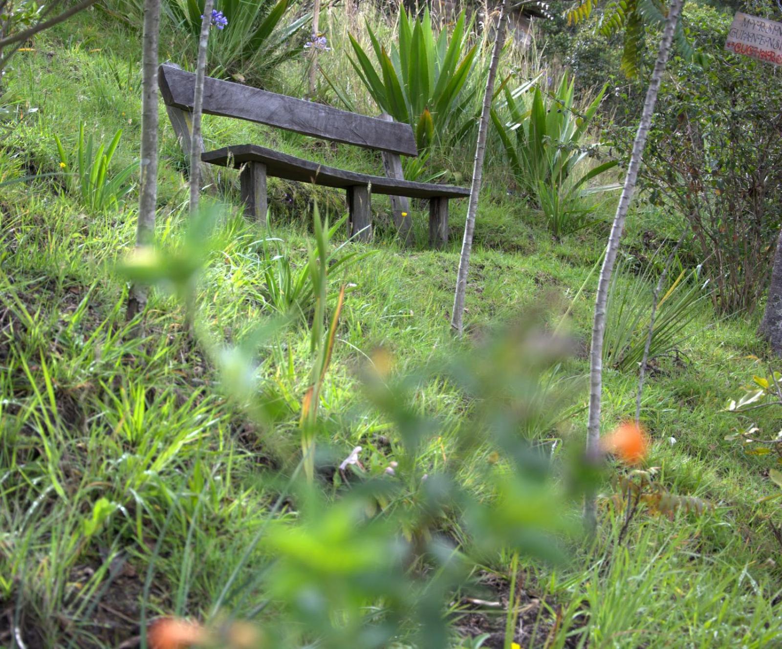 El Pedregal Sopó