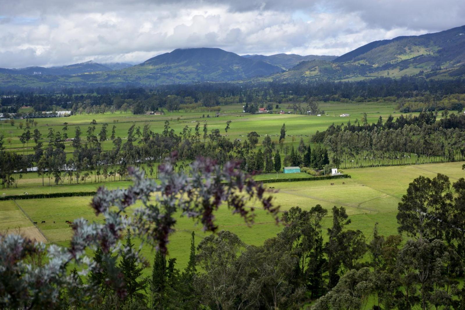 El Pedregal Sopó