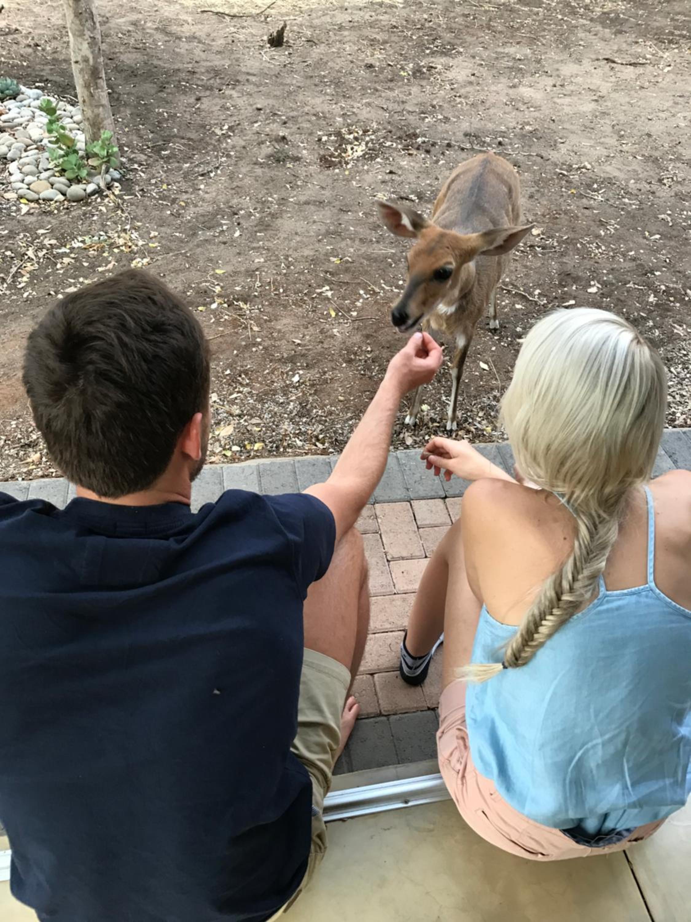 InniBos Marloth Park