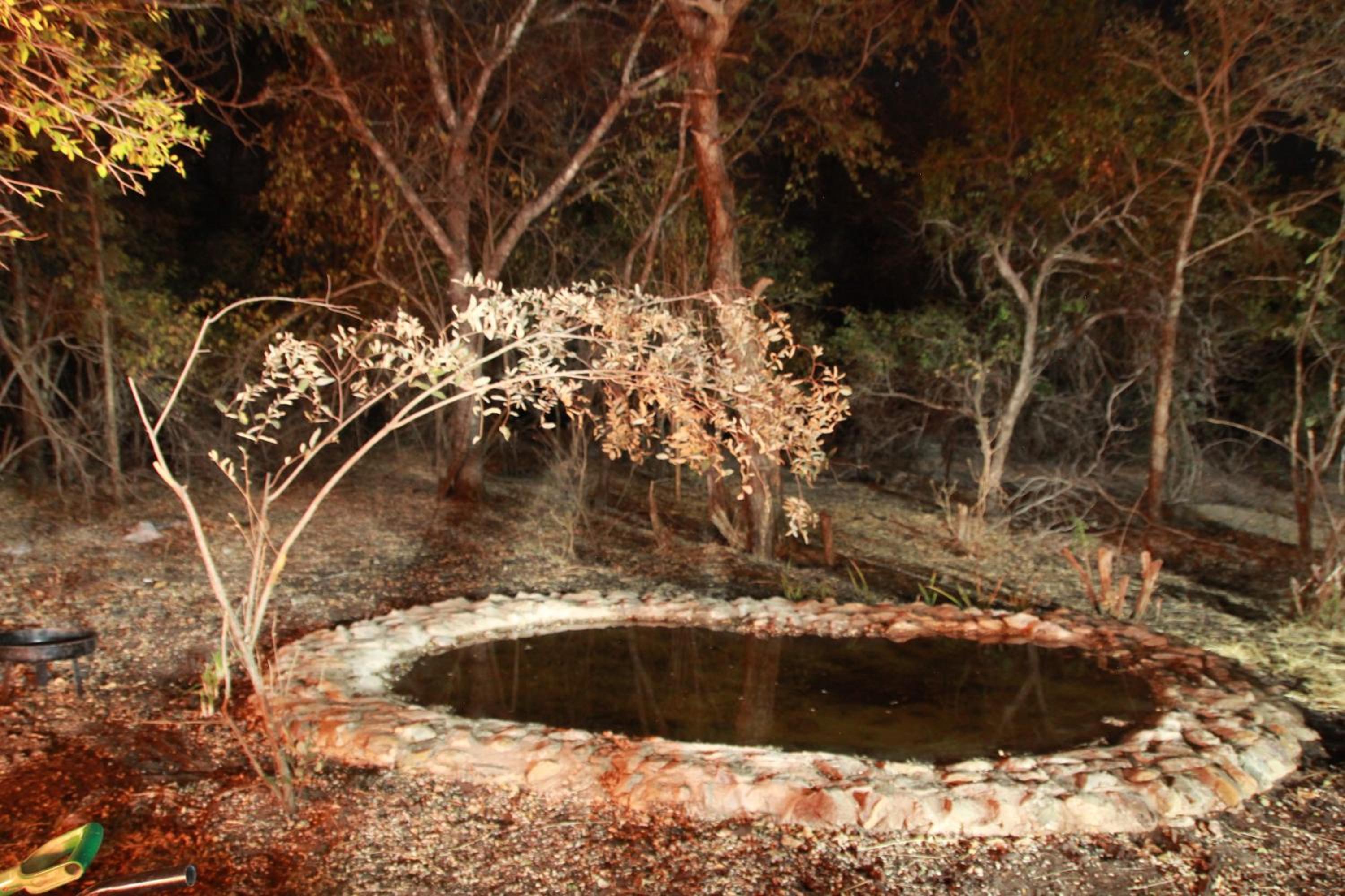 InniBos Marloth Park