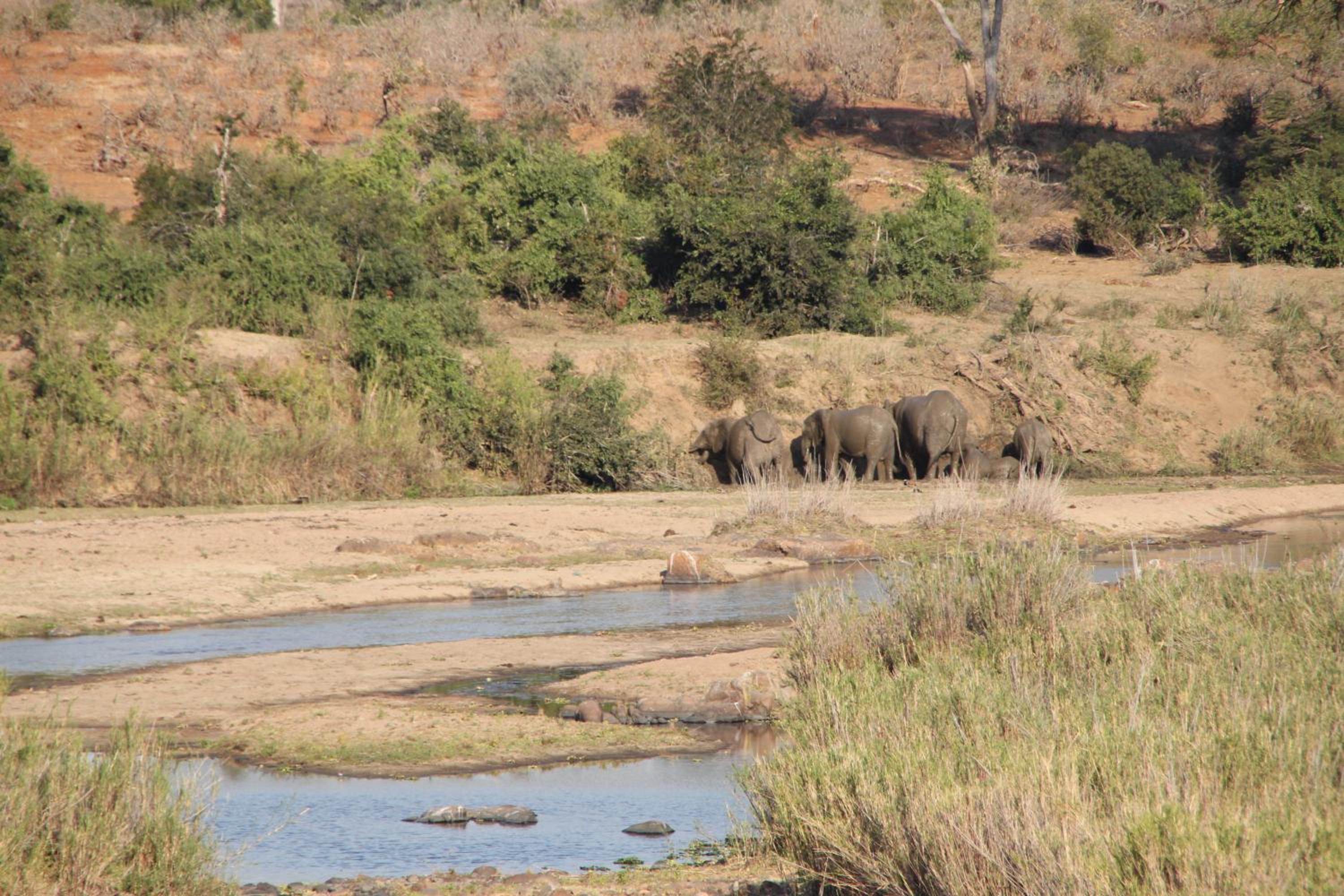 InniBos Marloth Park