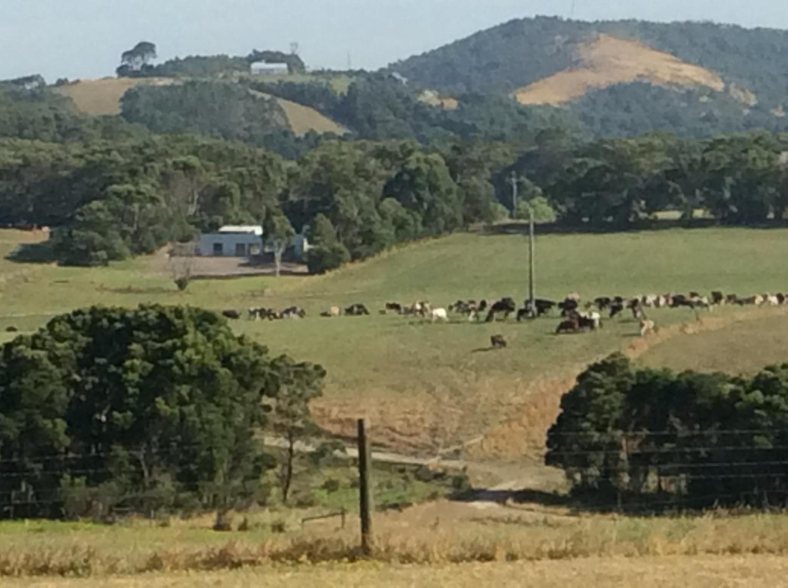 Aashay Country Stay