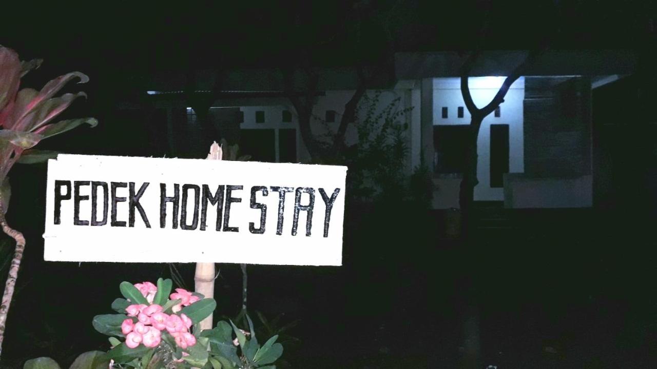 Pedek Homestay view 2