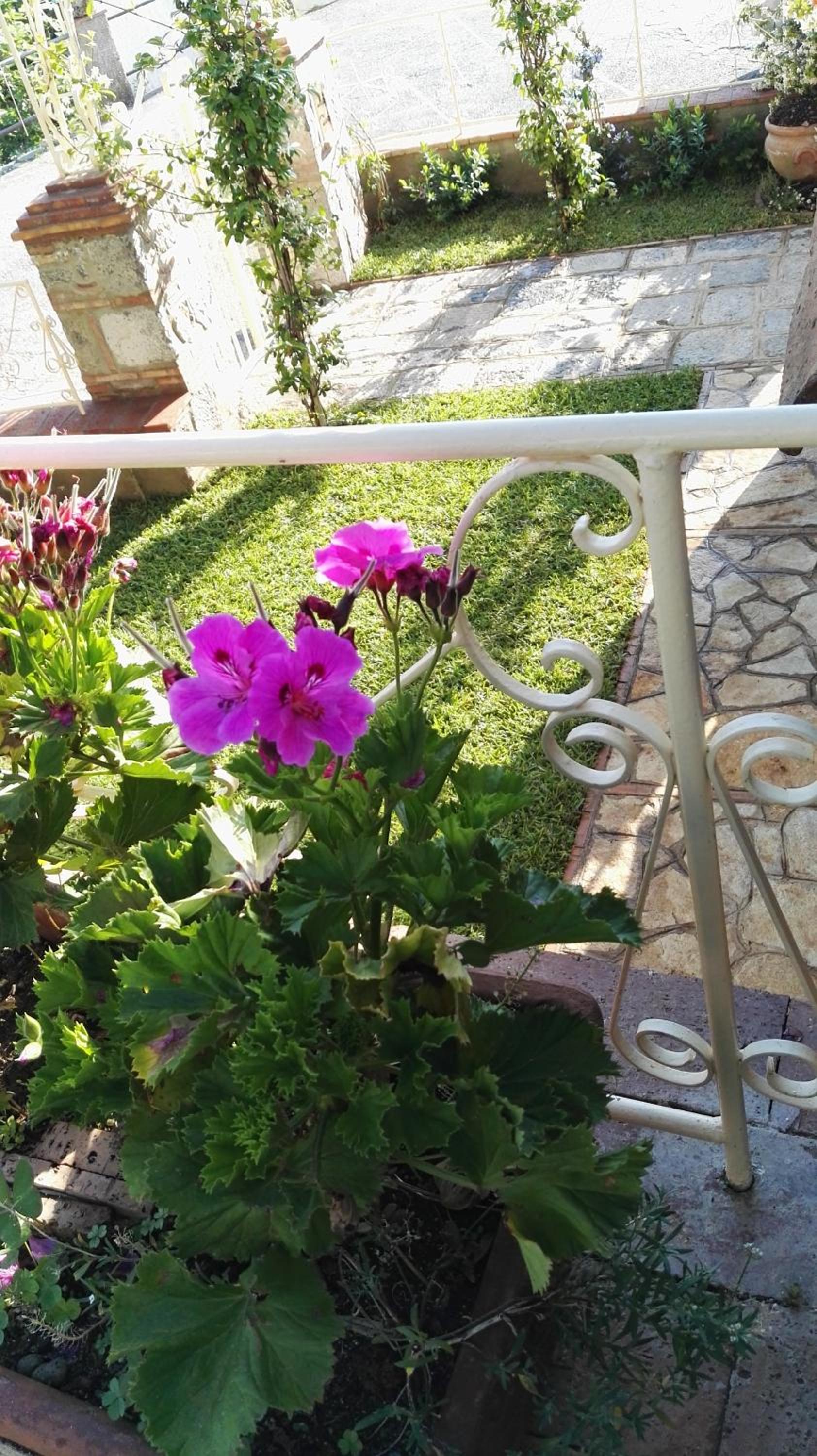 B&B La Torretta