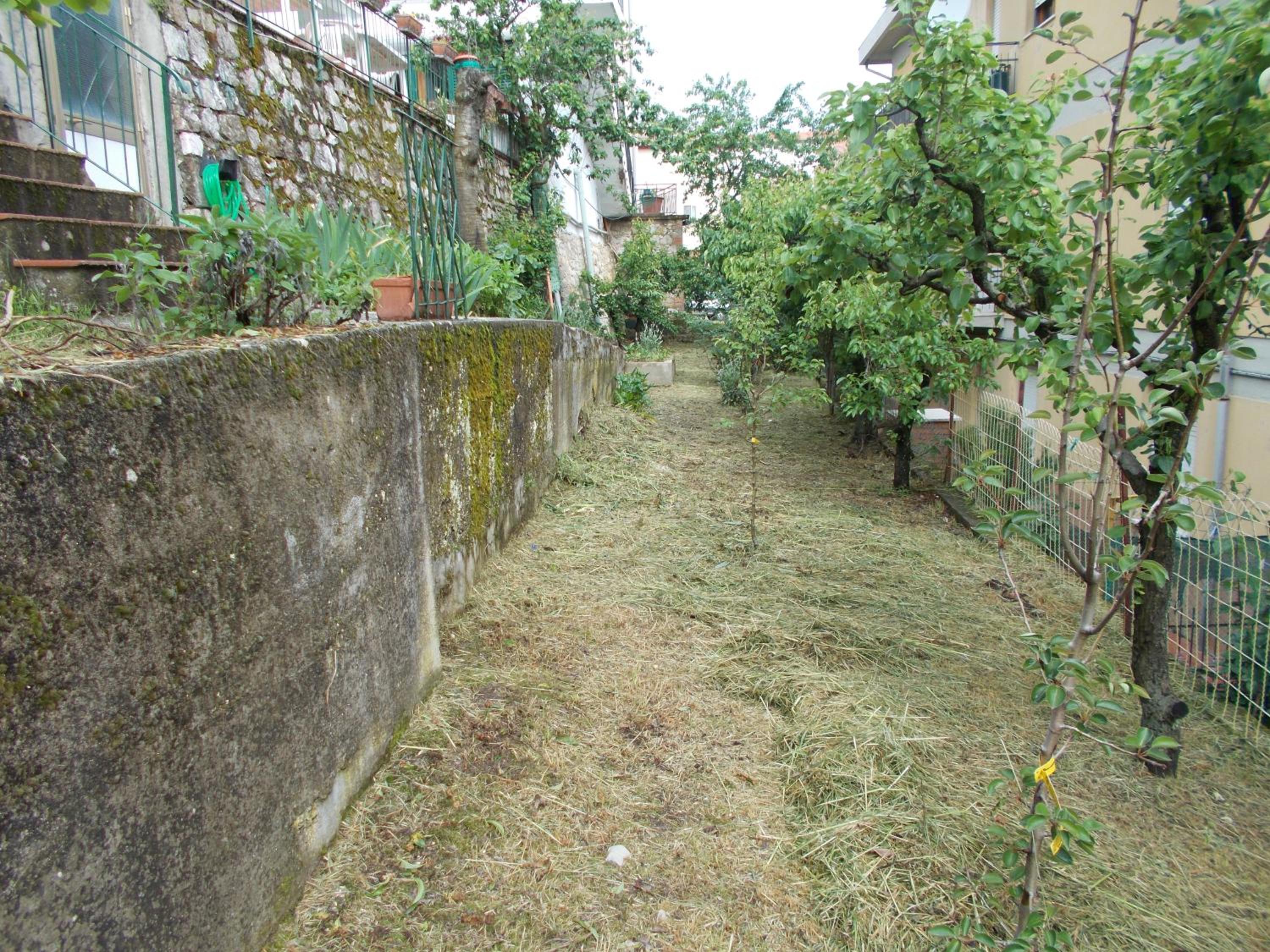 Photo 49