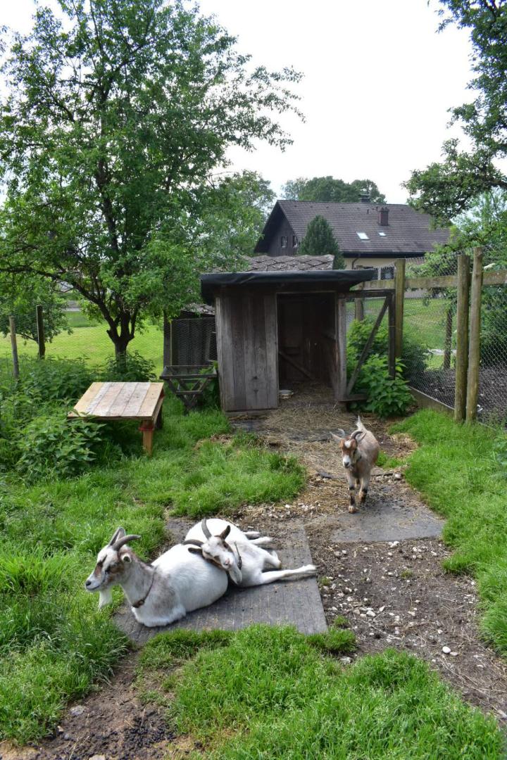 Ferienwohnung Grubinger