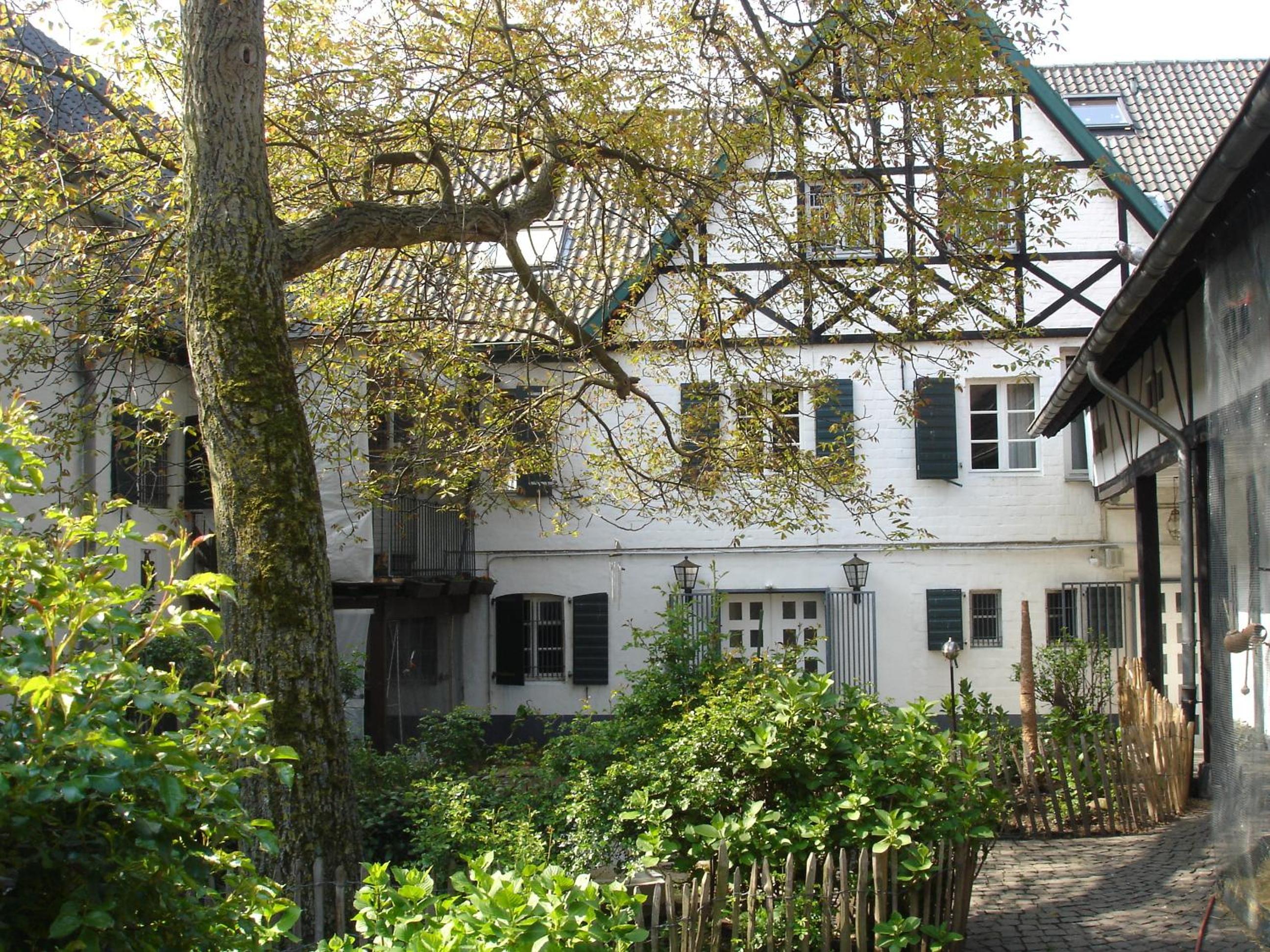 Rhein River Guesthouse - direkt am Rhein