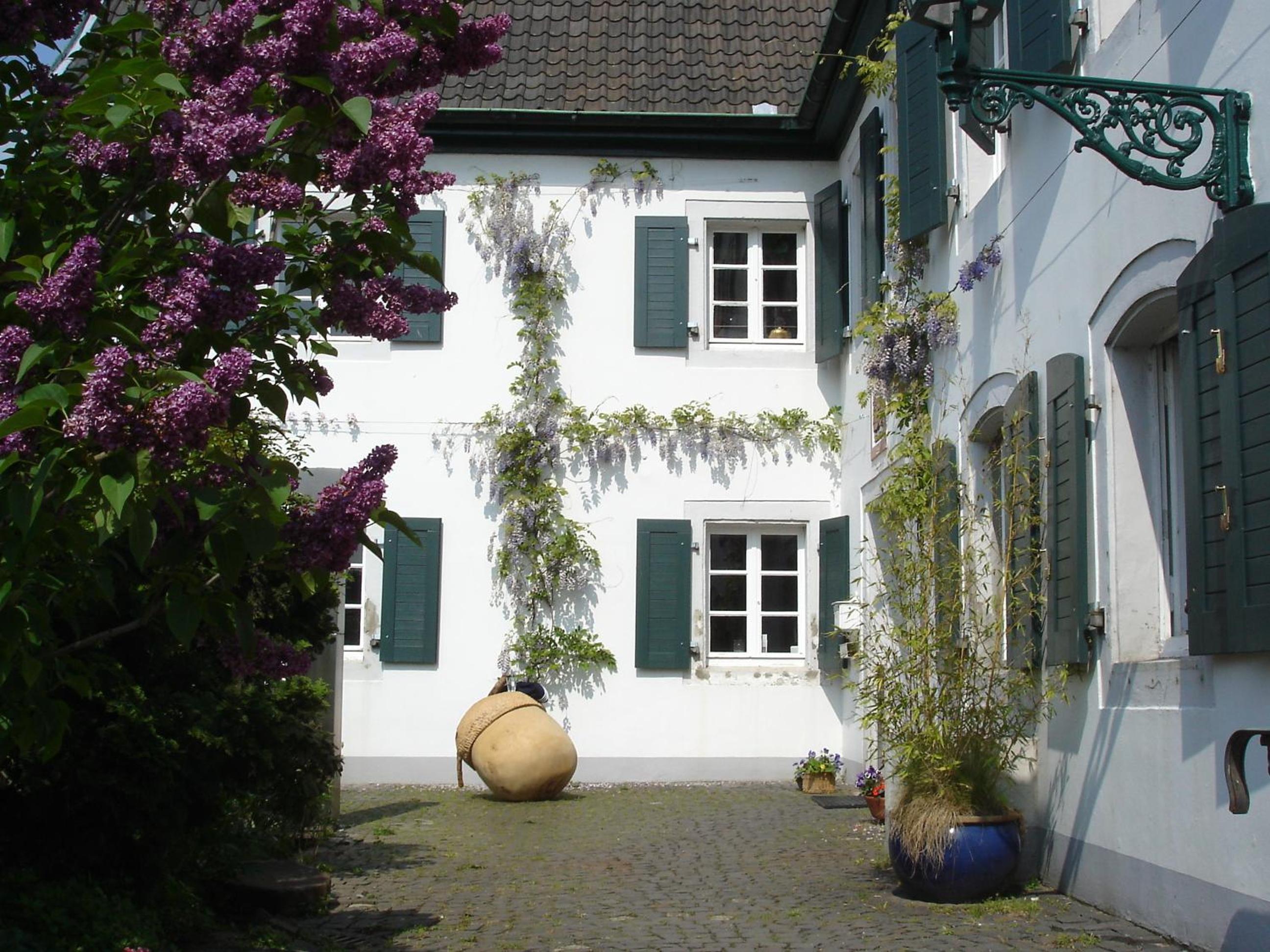 Rhein River Guesthouse - direkt am Rhein