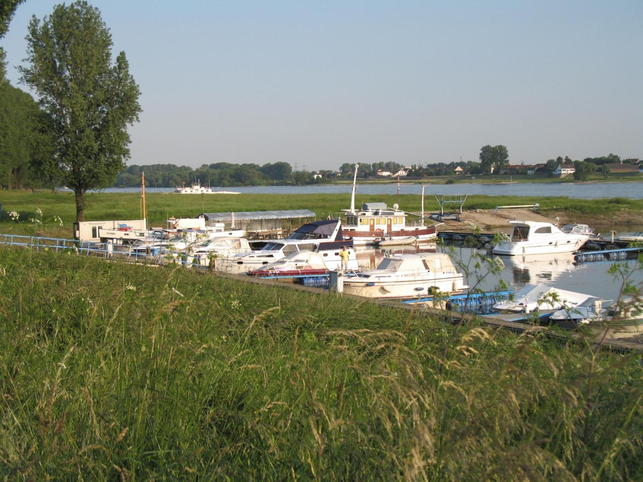 Rhein River Guesthouse - direkt am Rhein
