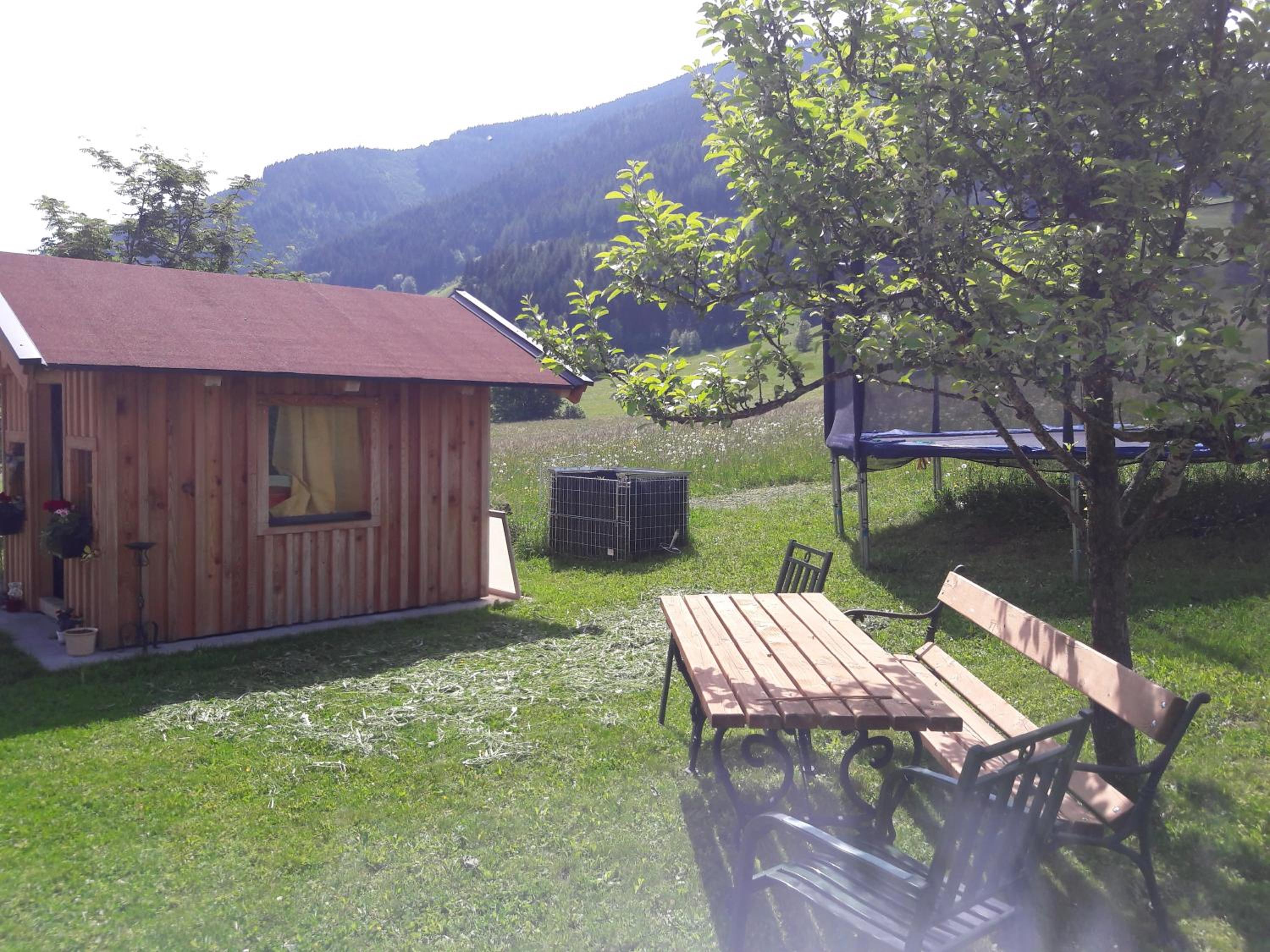 Photo 7