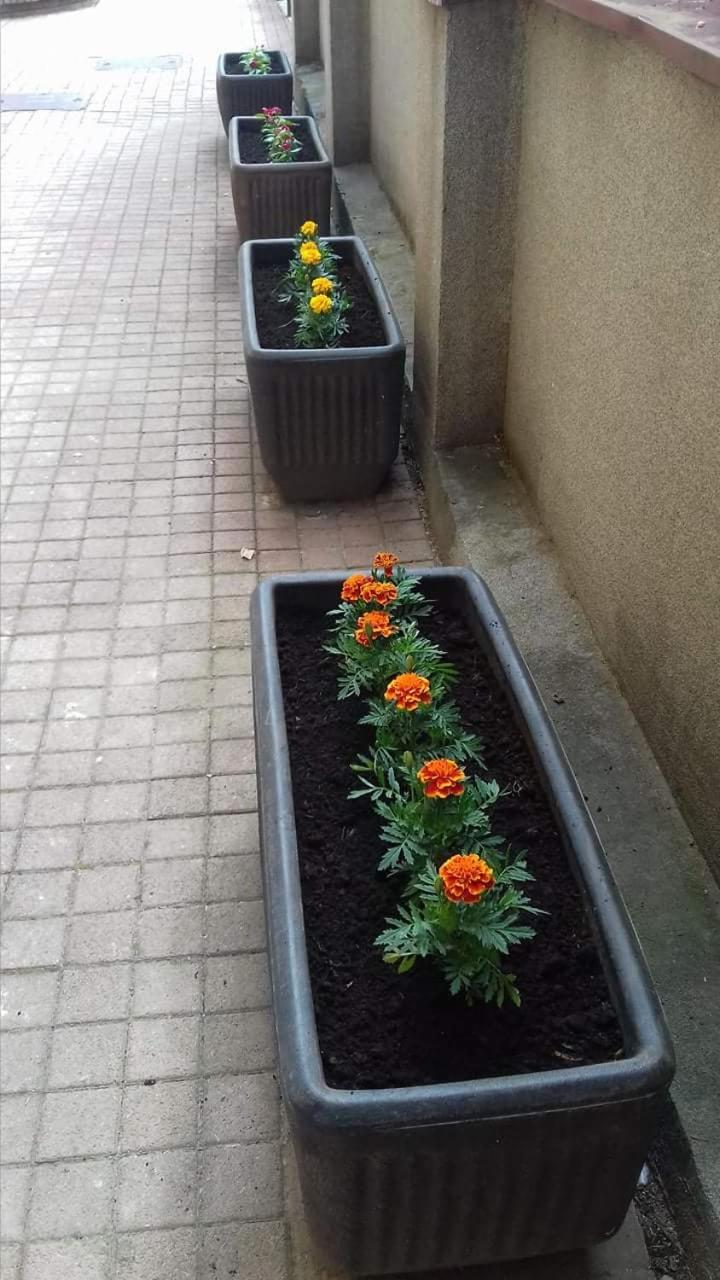 Photo 31