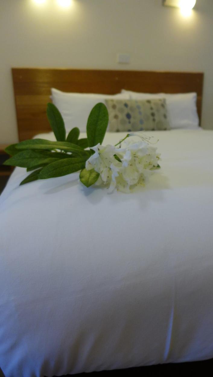 Bright Avenue Motor Inn