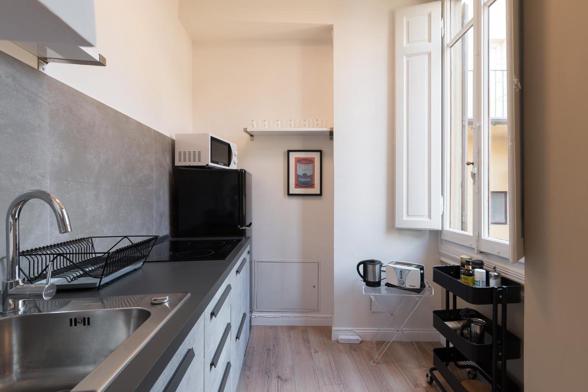 Luxury apartment in city center