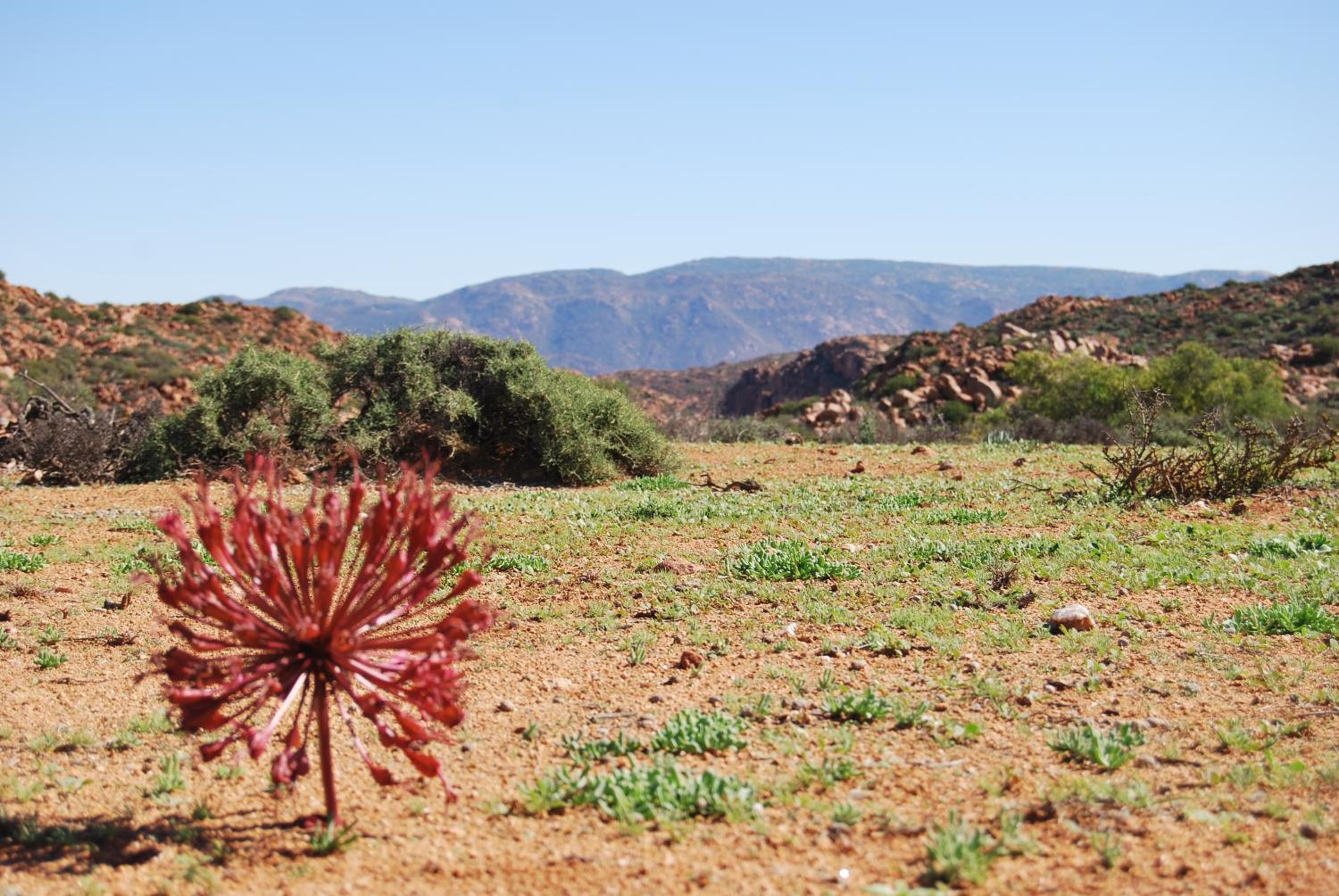 Platbakkies Farm Retreat