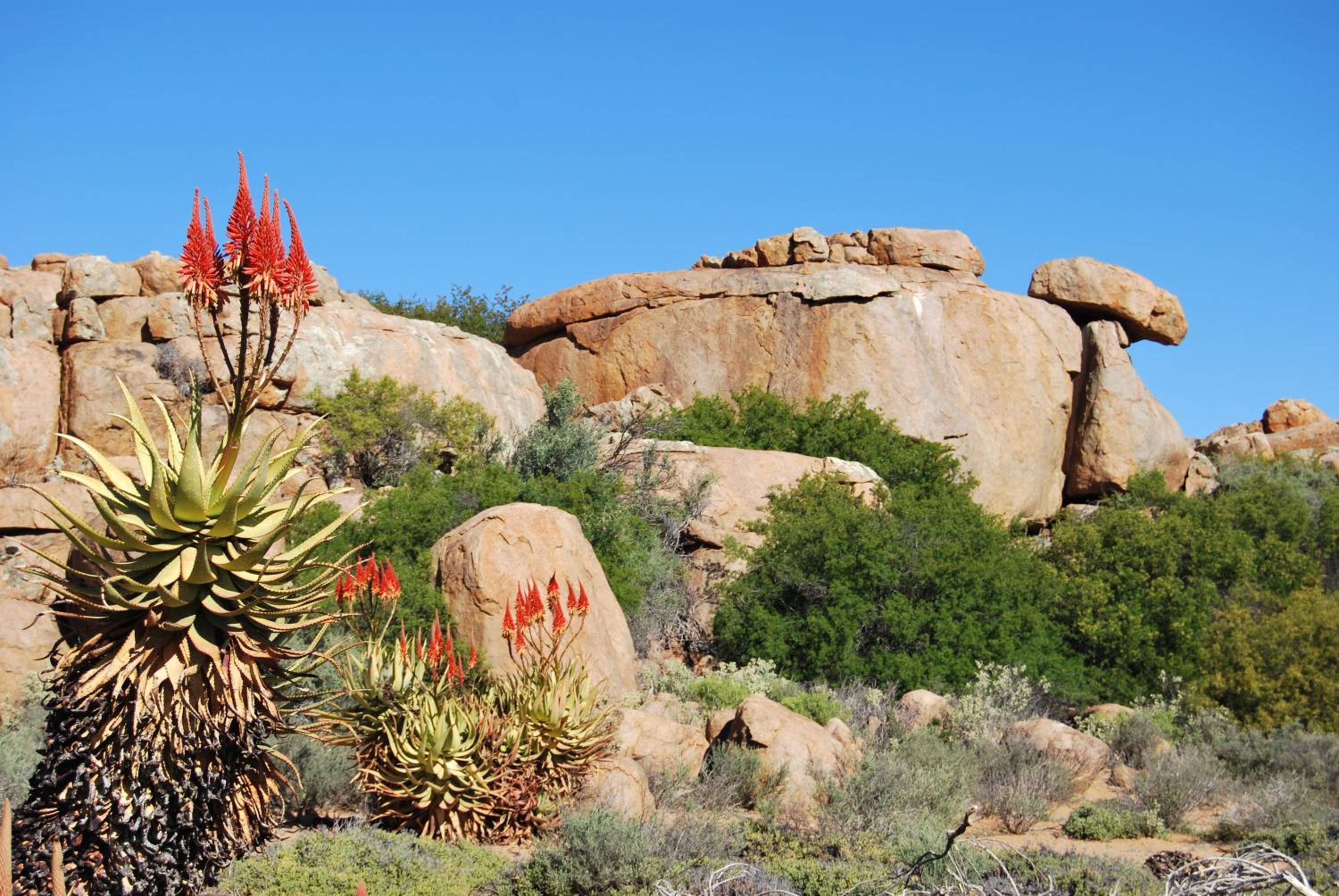 Platbakkies Farm Retreat
