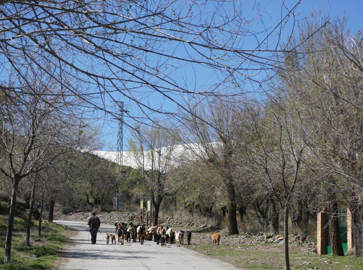 Photo 41