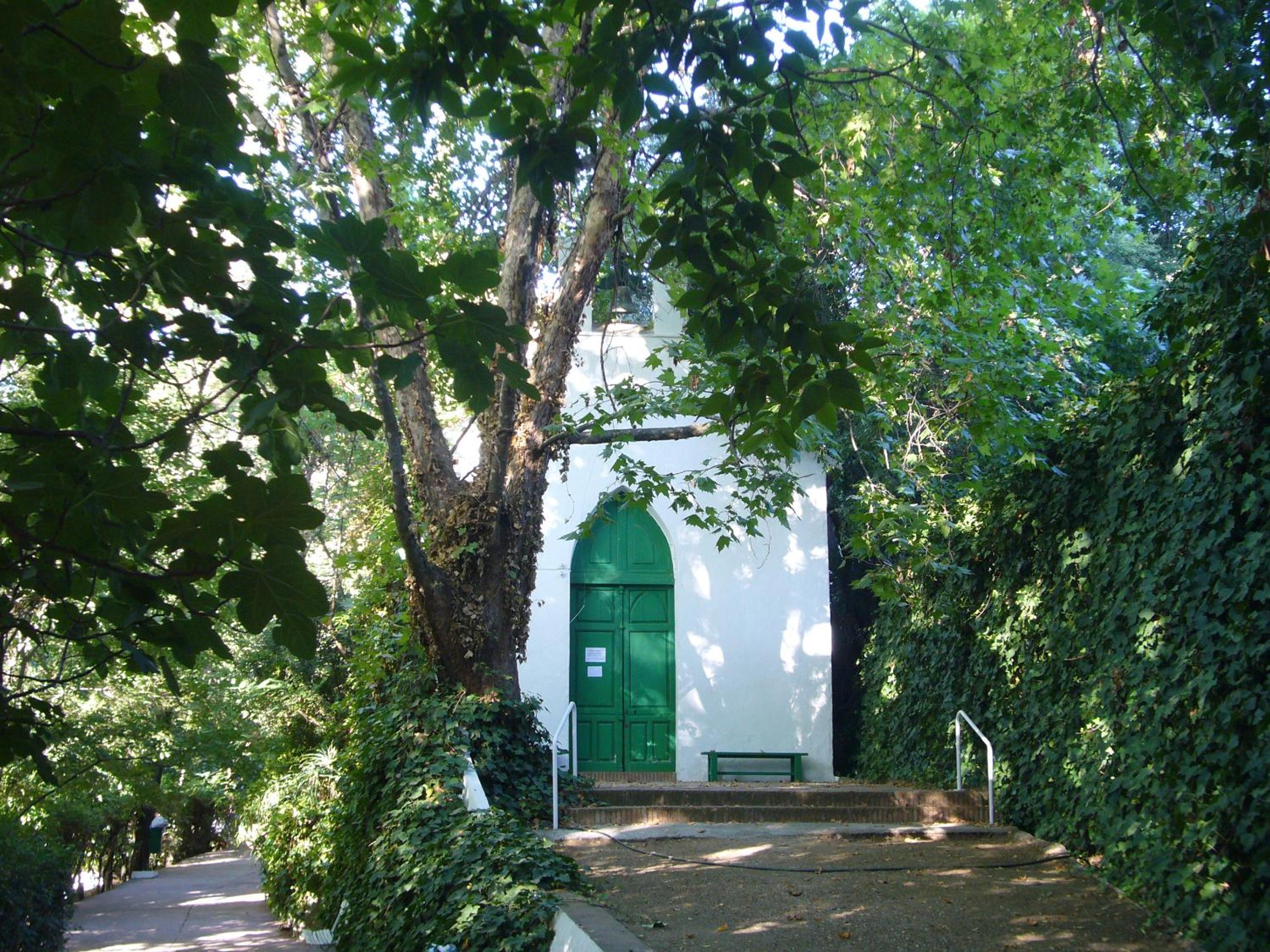 Photo 10