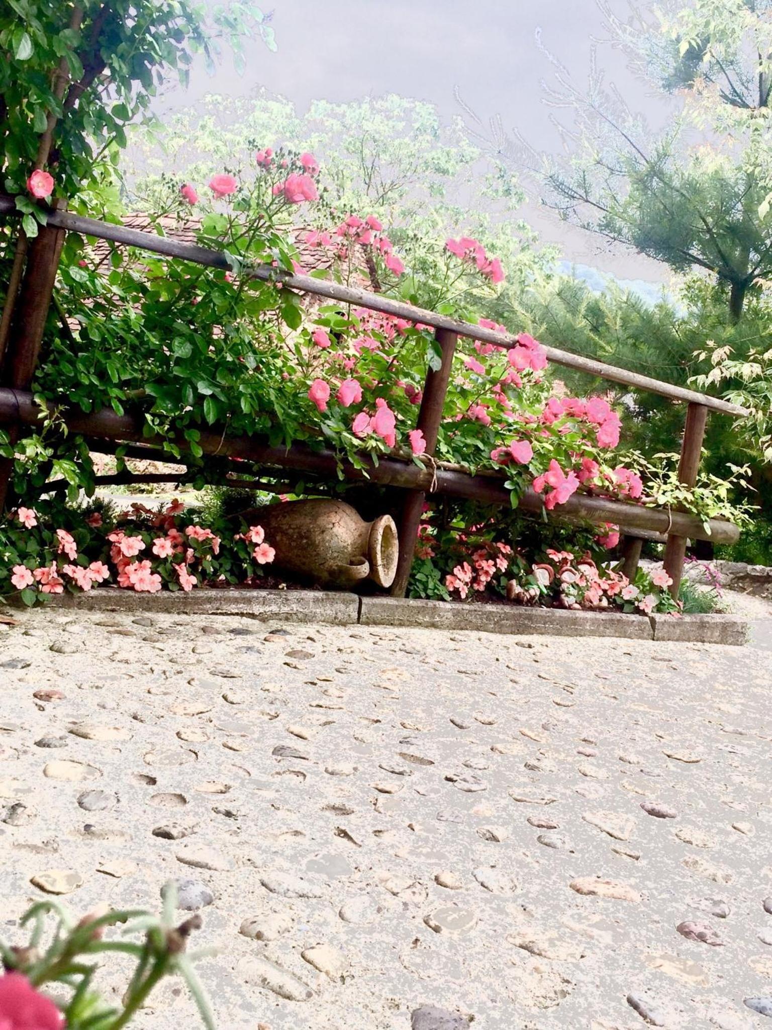 Apartments Dajčić