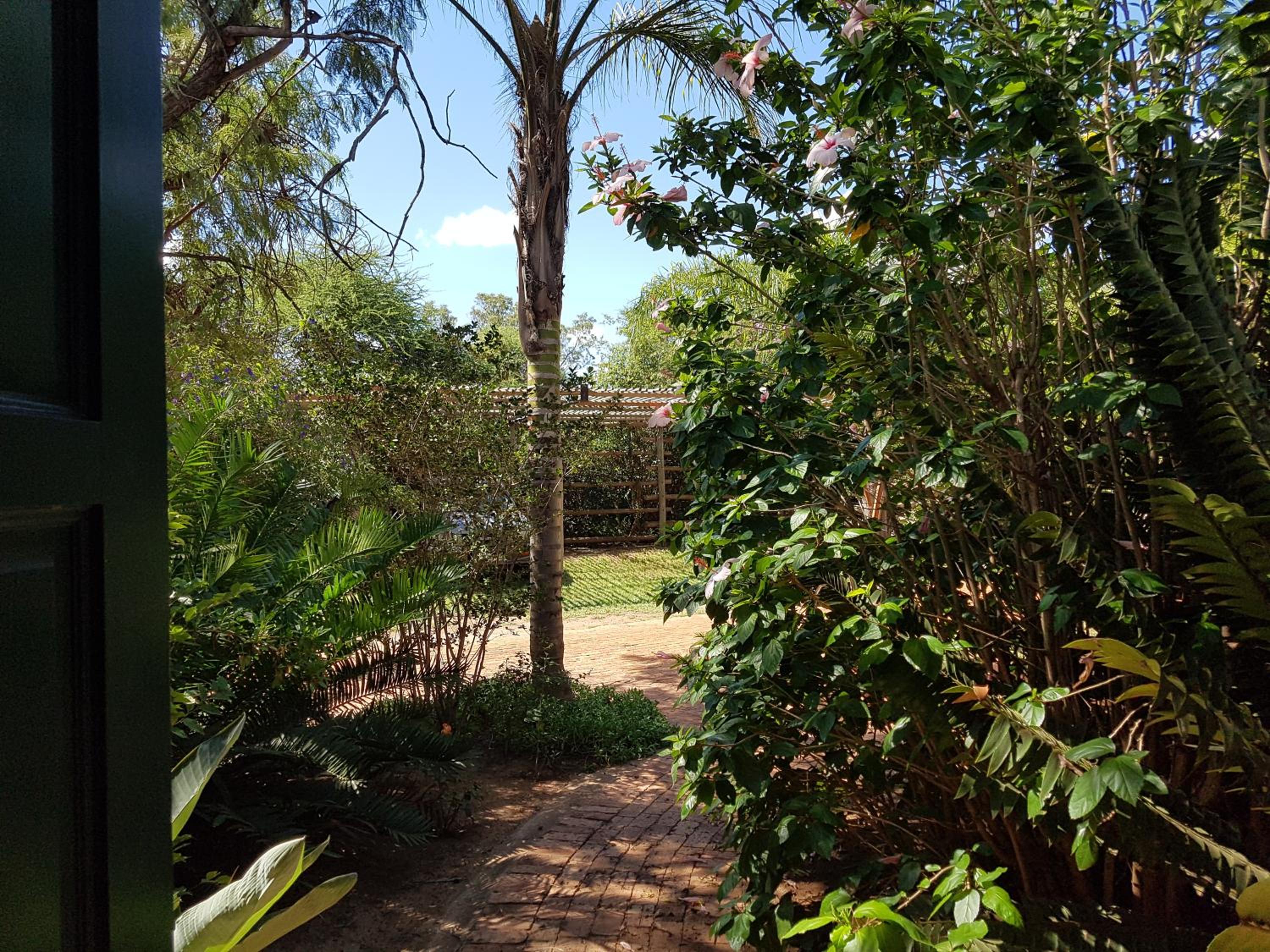 Photo 17
