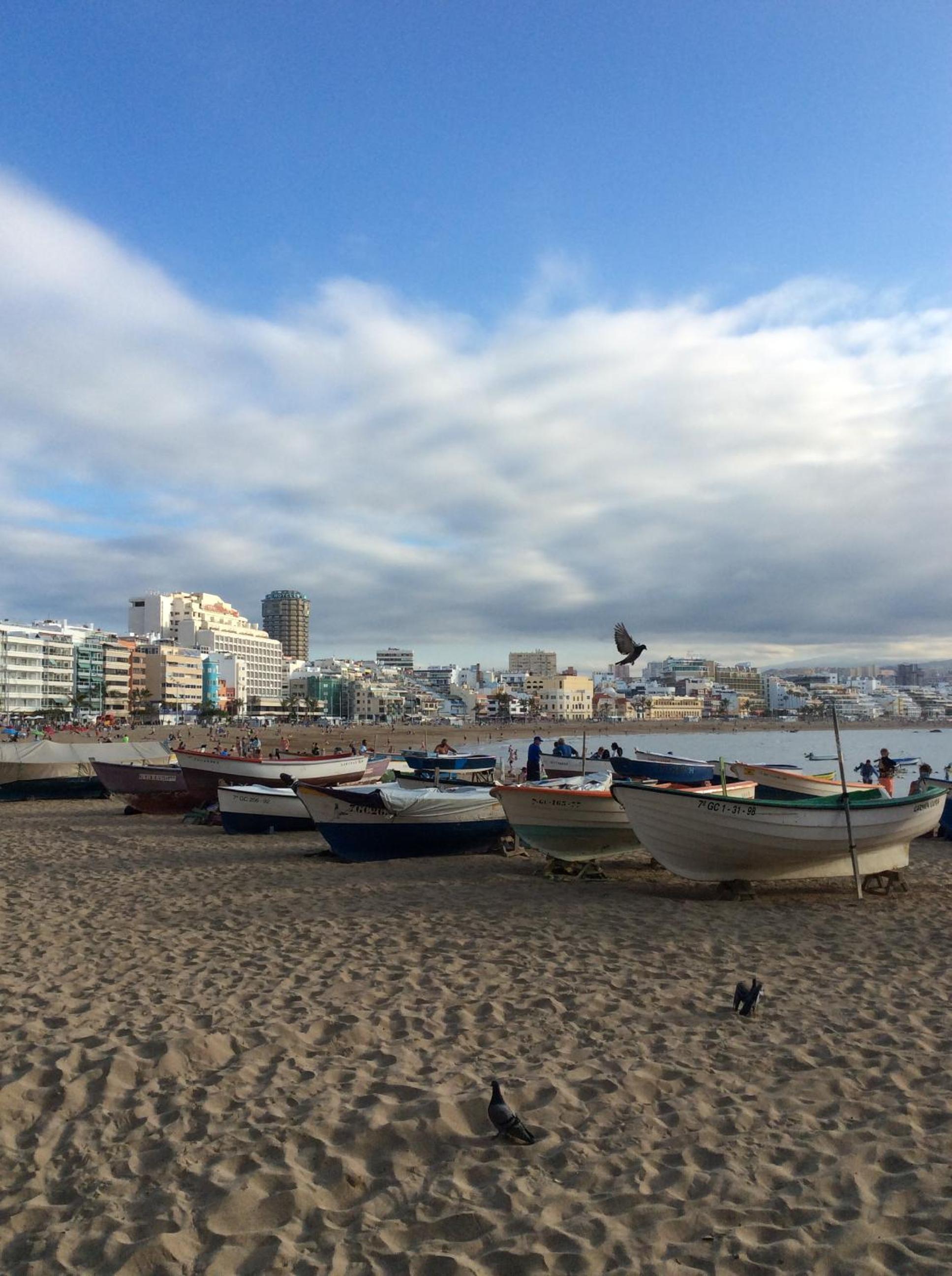 Las Canteras Beach VV view 5