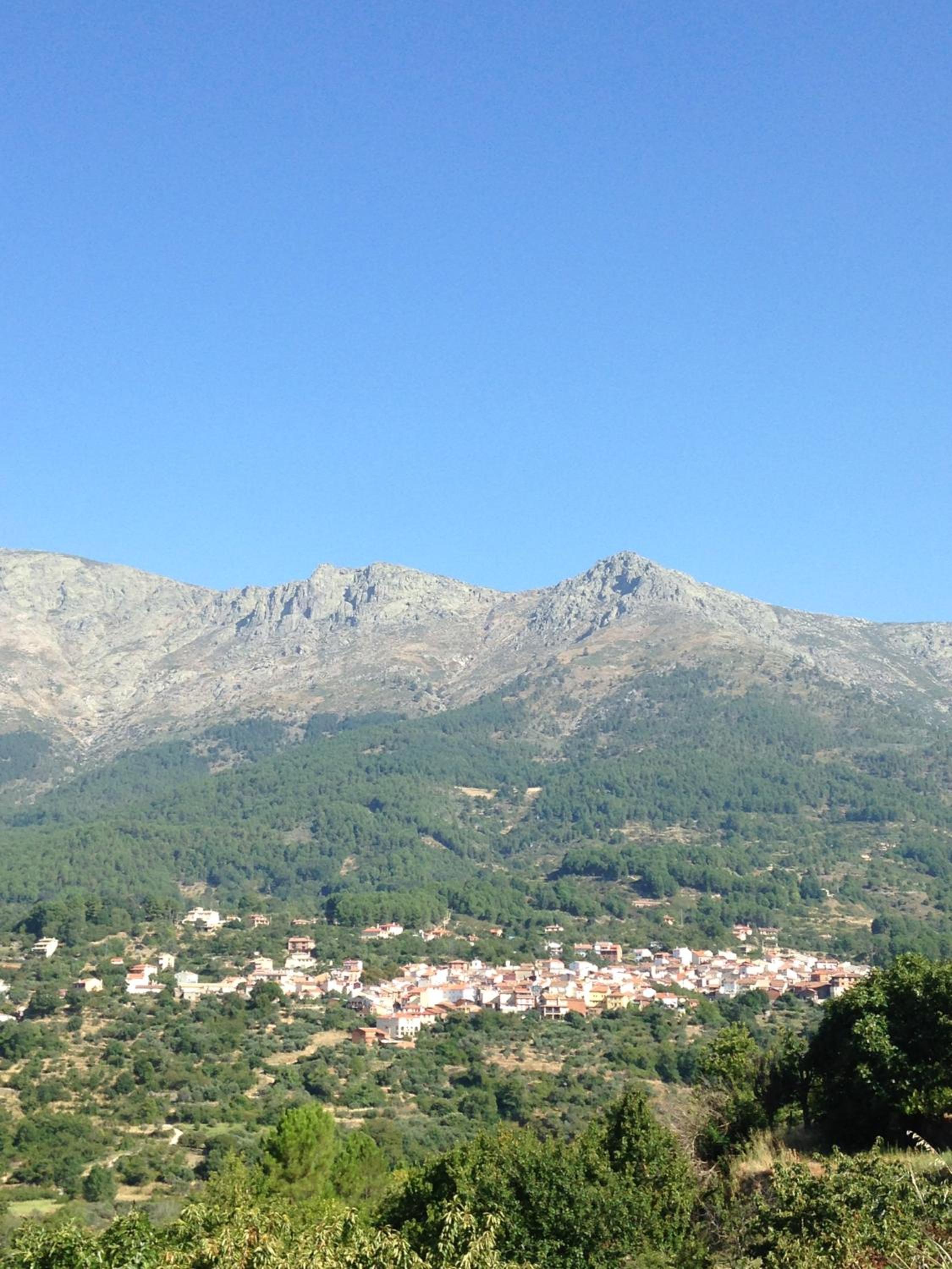 Photo 44