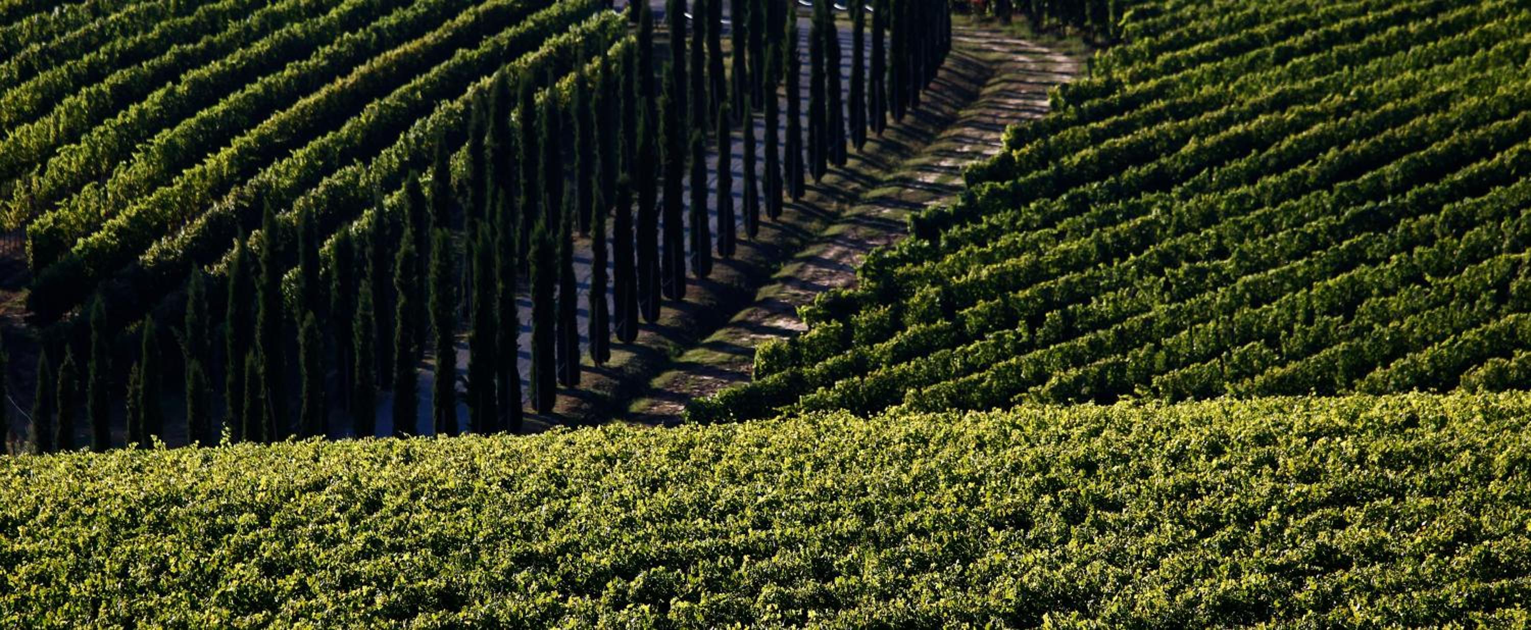 Poggio al Casone view 4
