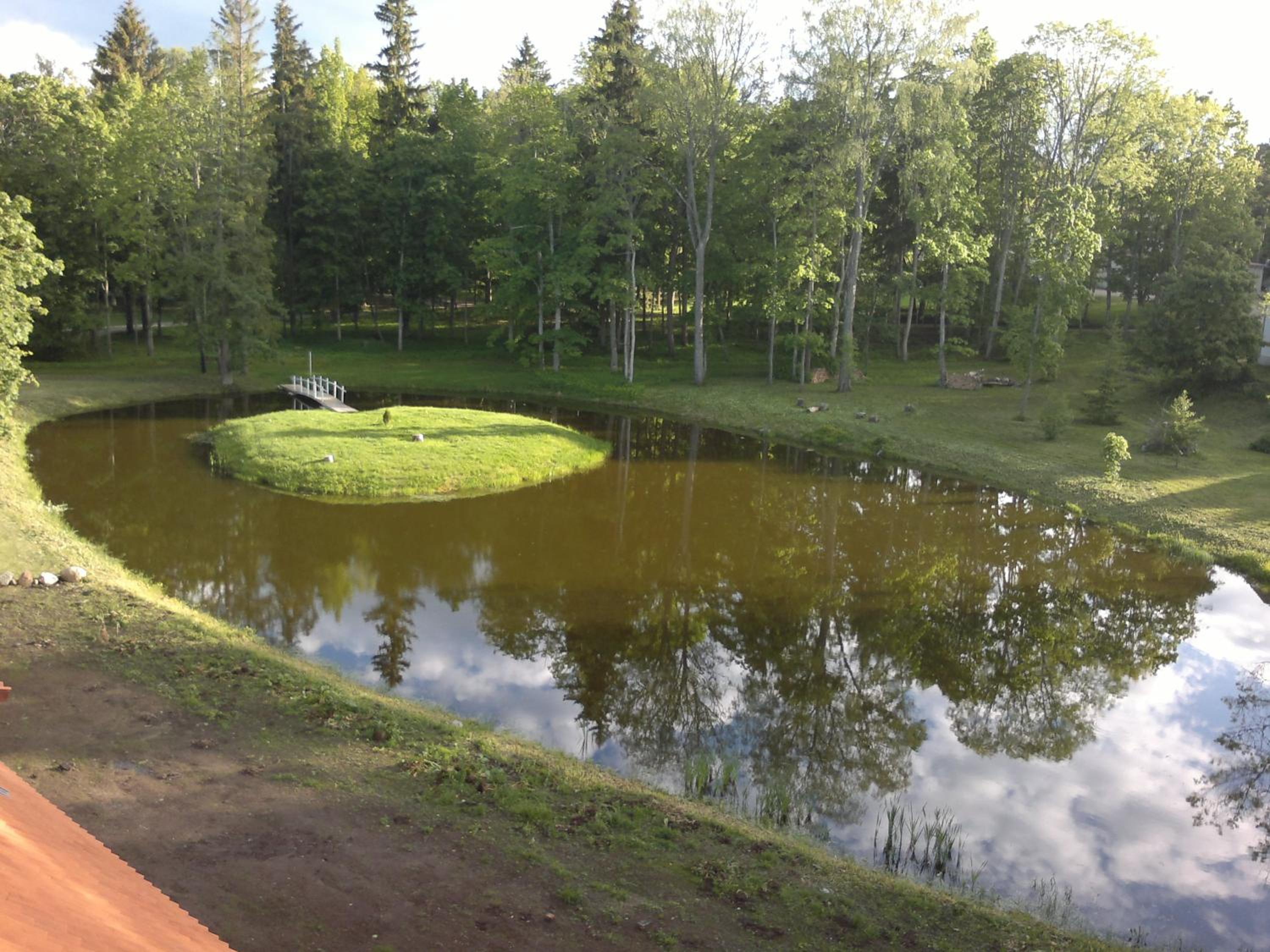 Photo 12