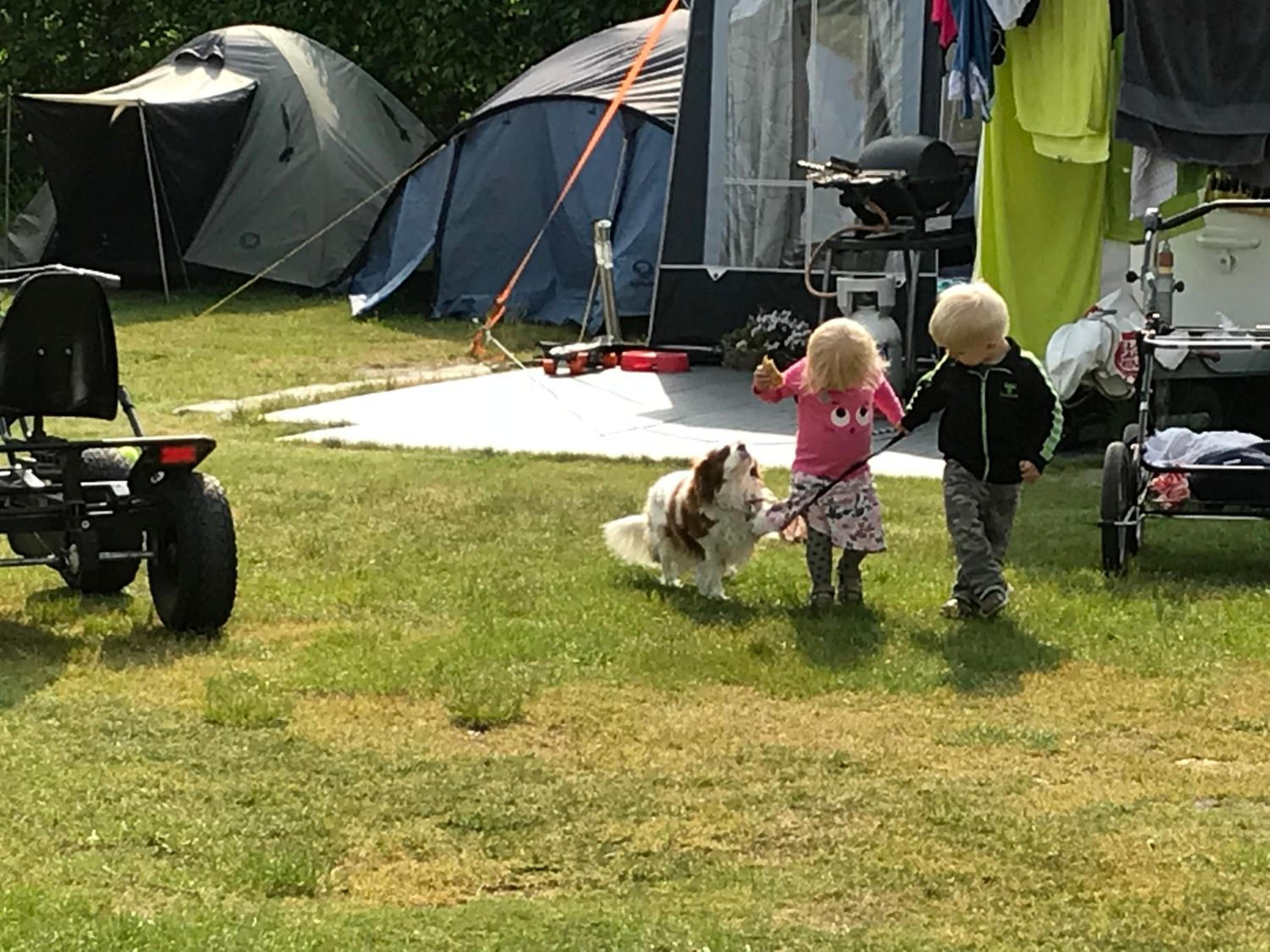 Vorbasse camping