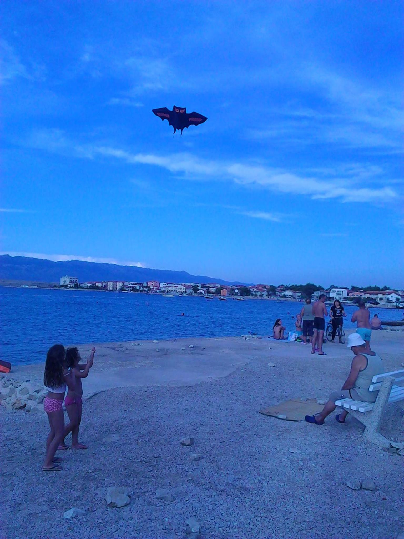 Photo 8