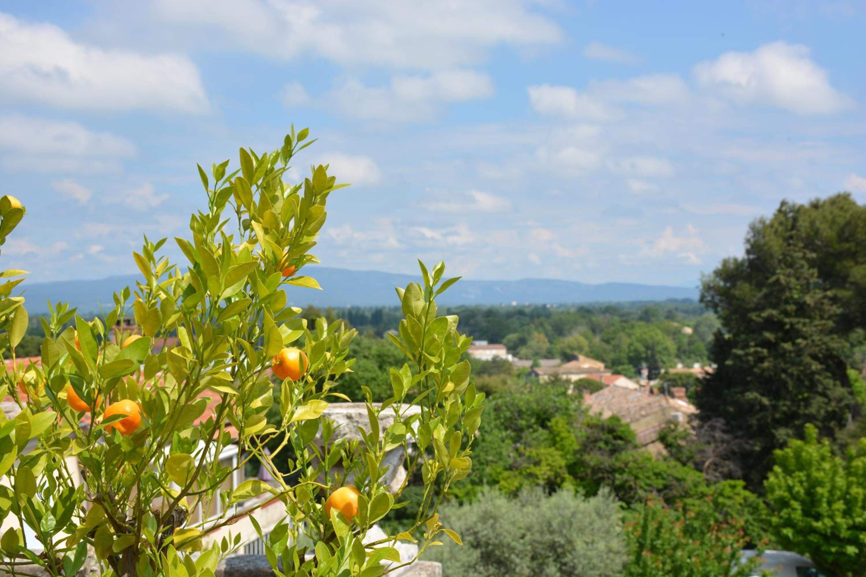 Le Petit Chateau view 3