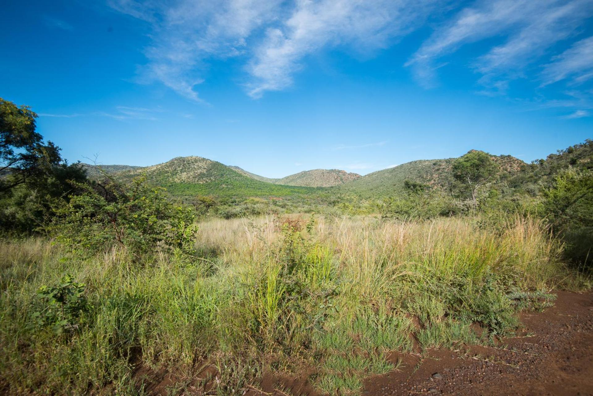 Lush Private Game Lodge