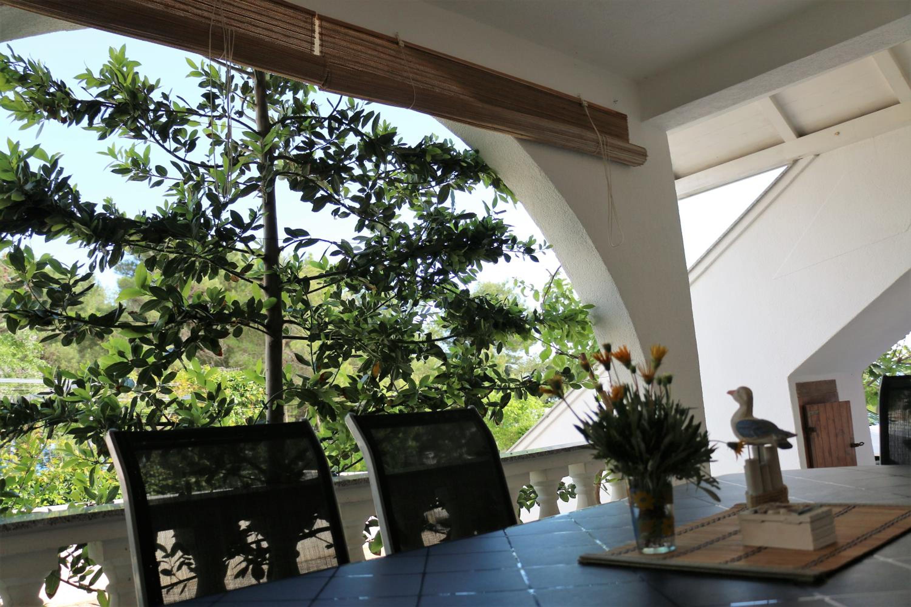 Apartments Vir Delfin