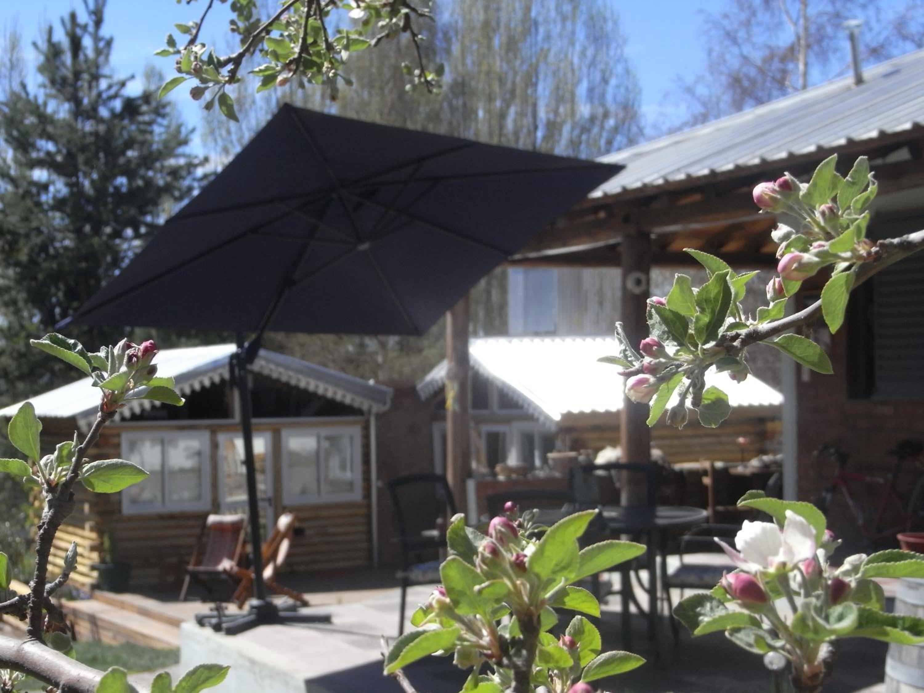 SilverCord B&B