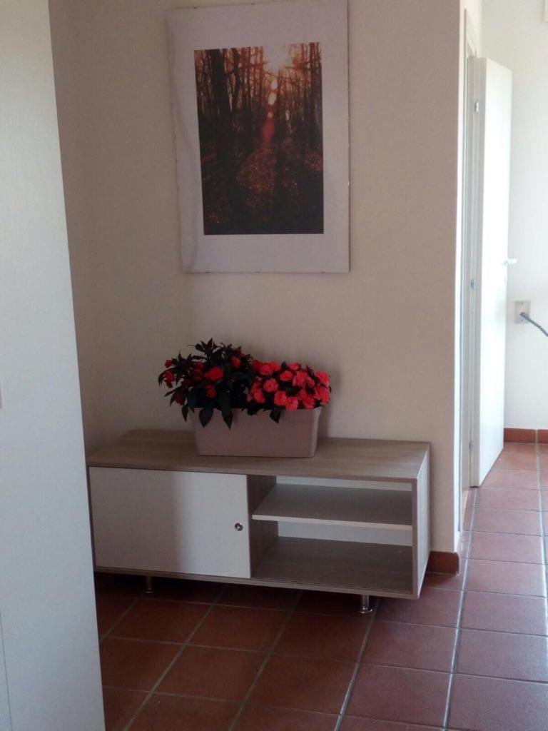 Salento nel Cuore