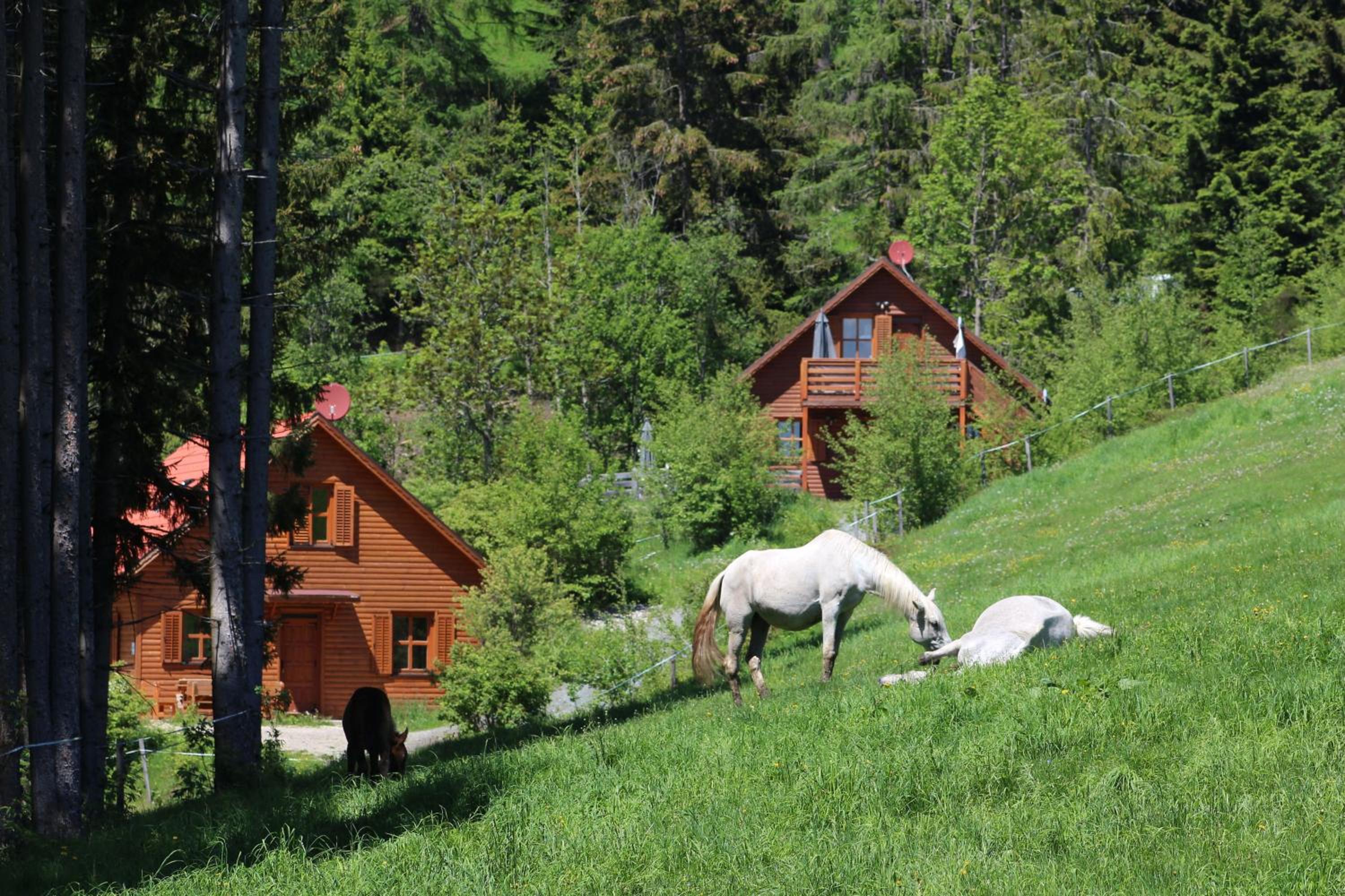 Sternen-Chalet view 4