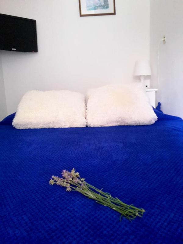 Gracia Apartments