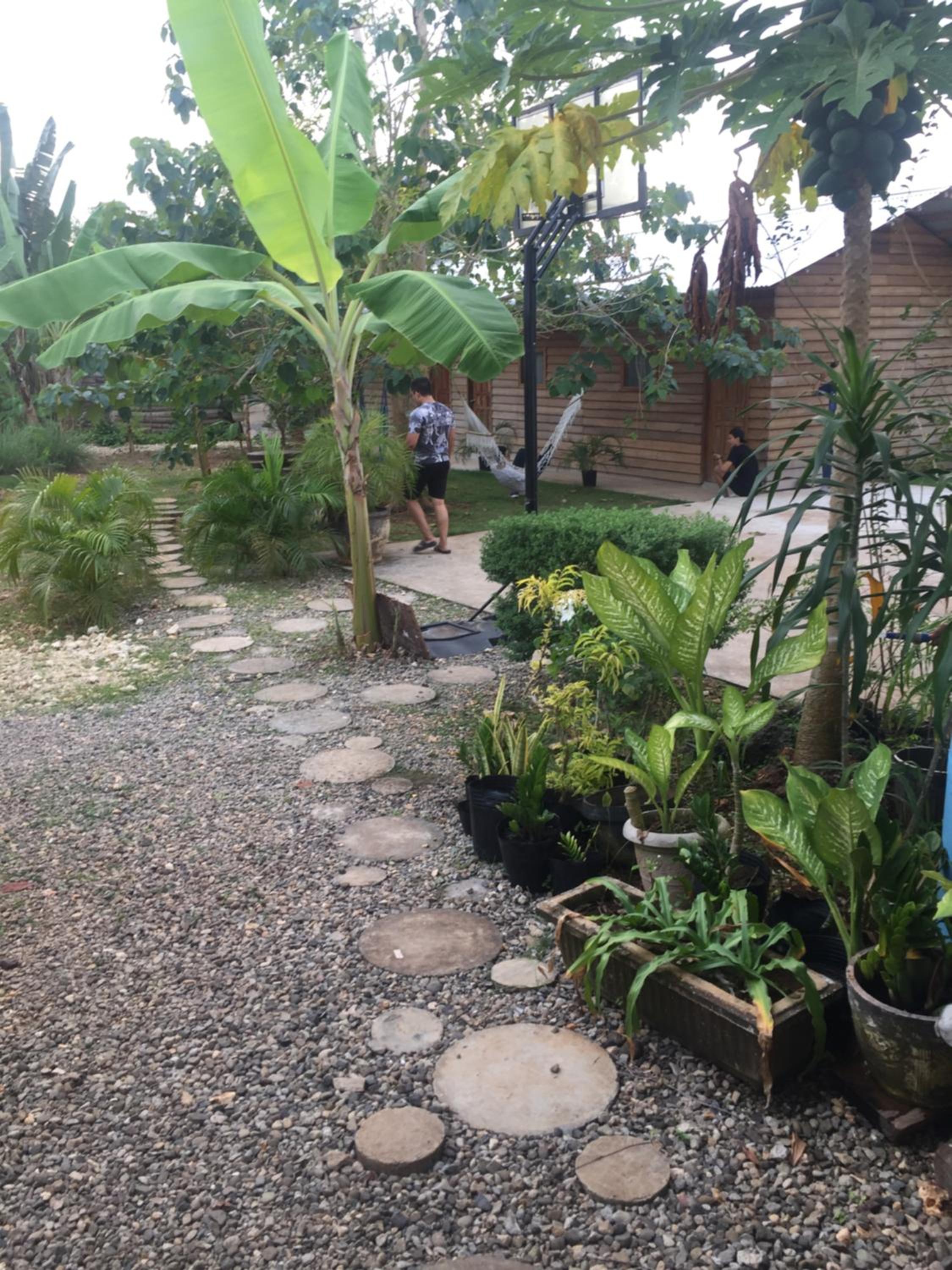 Terreza's Place