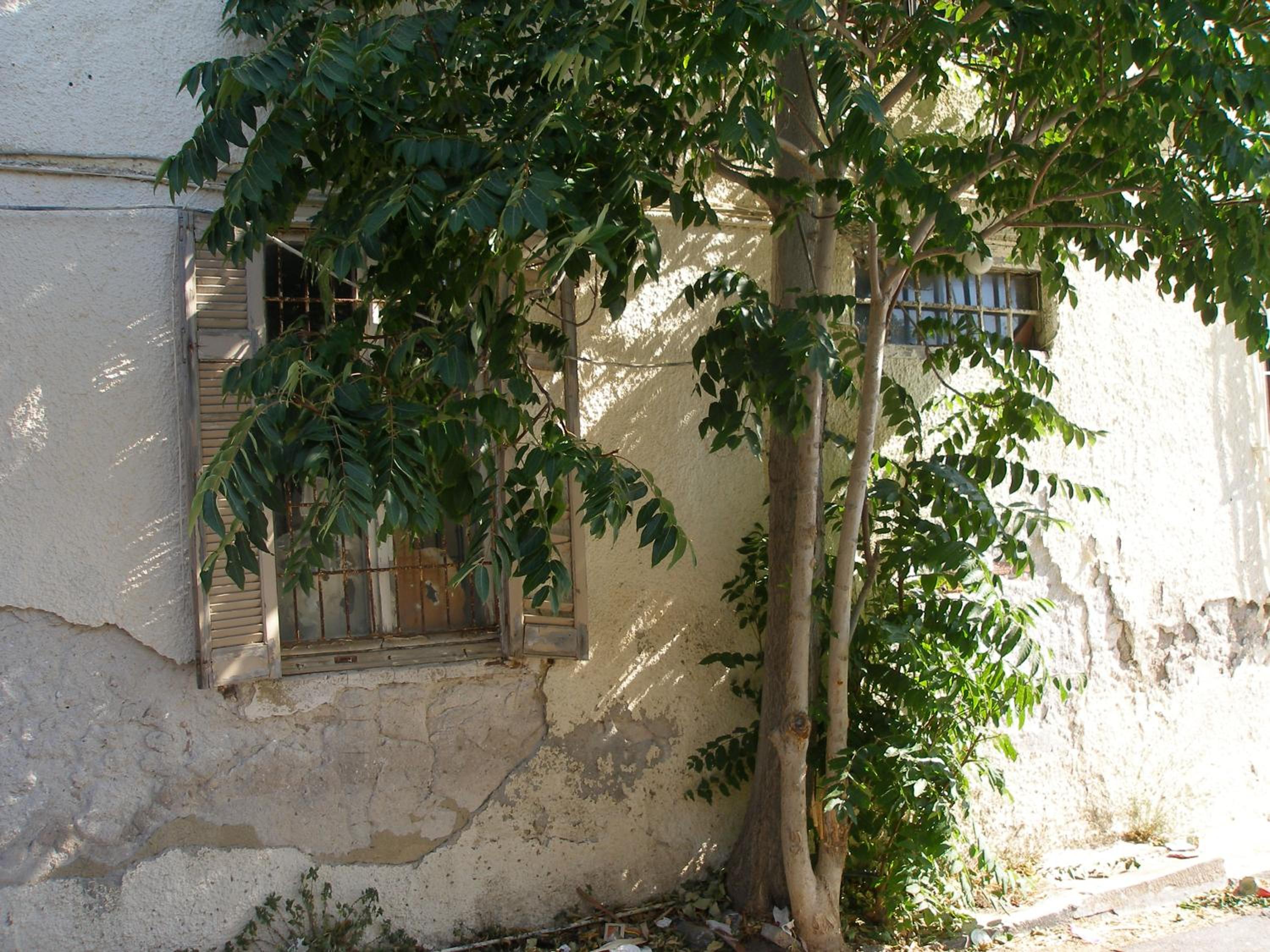 Villa Adamite