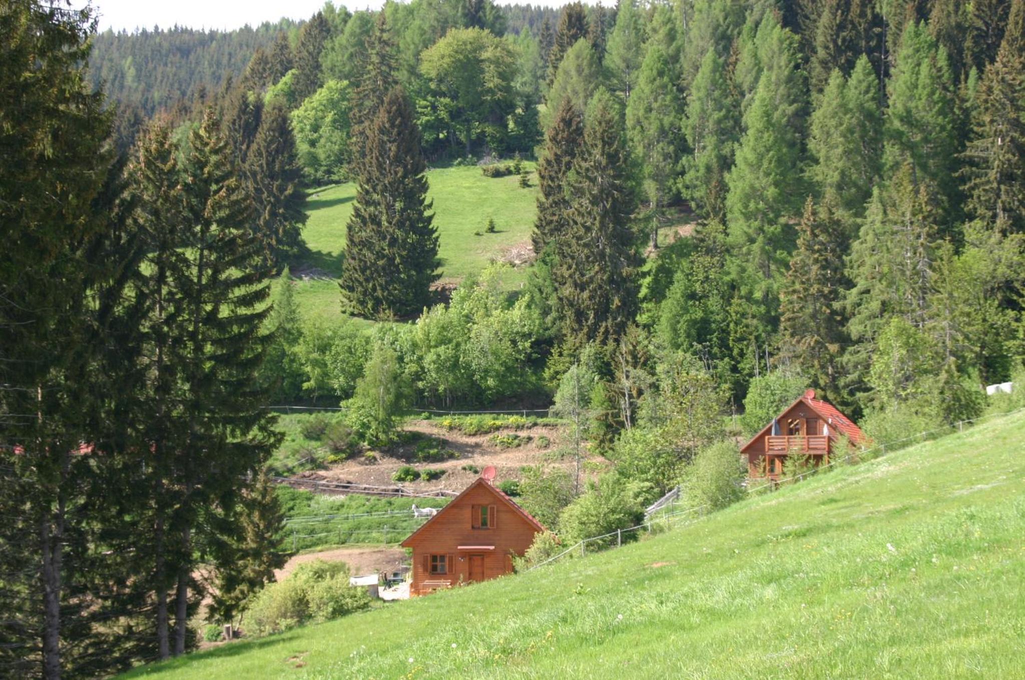 Sternen-Chalet view 2
