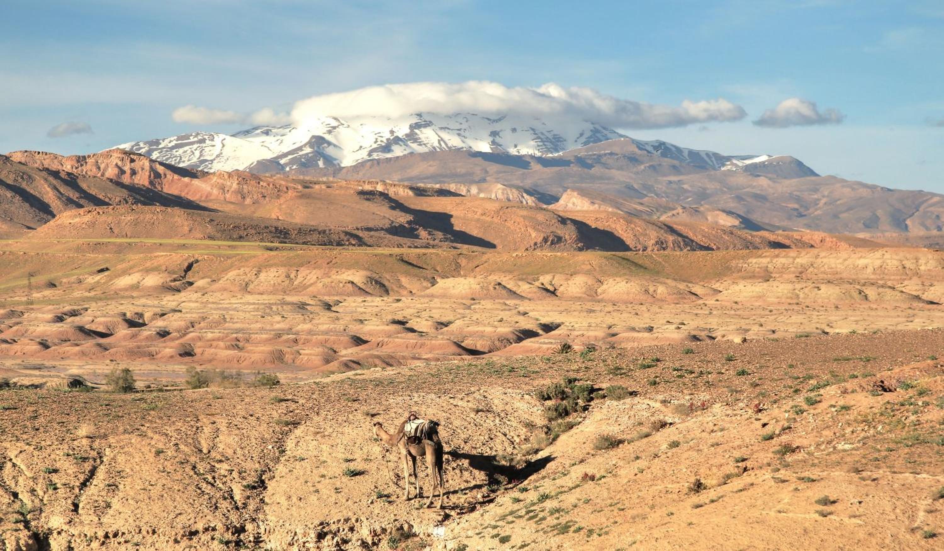 Kasbah tifaoute ait Ben haddou