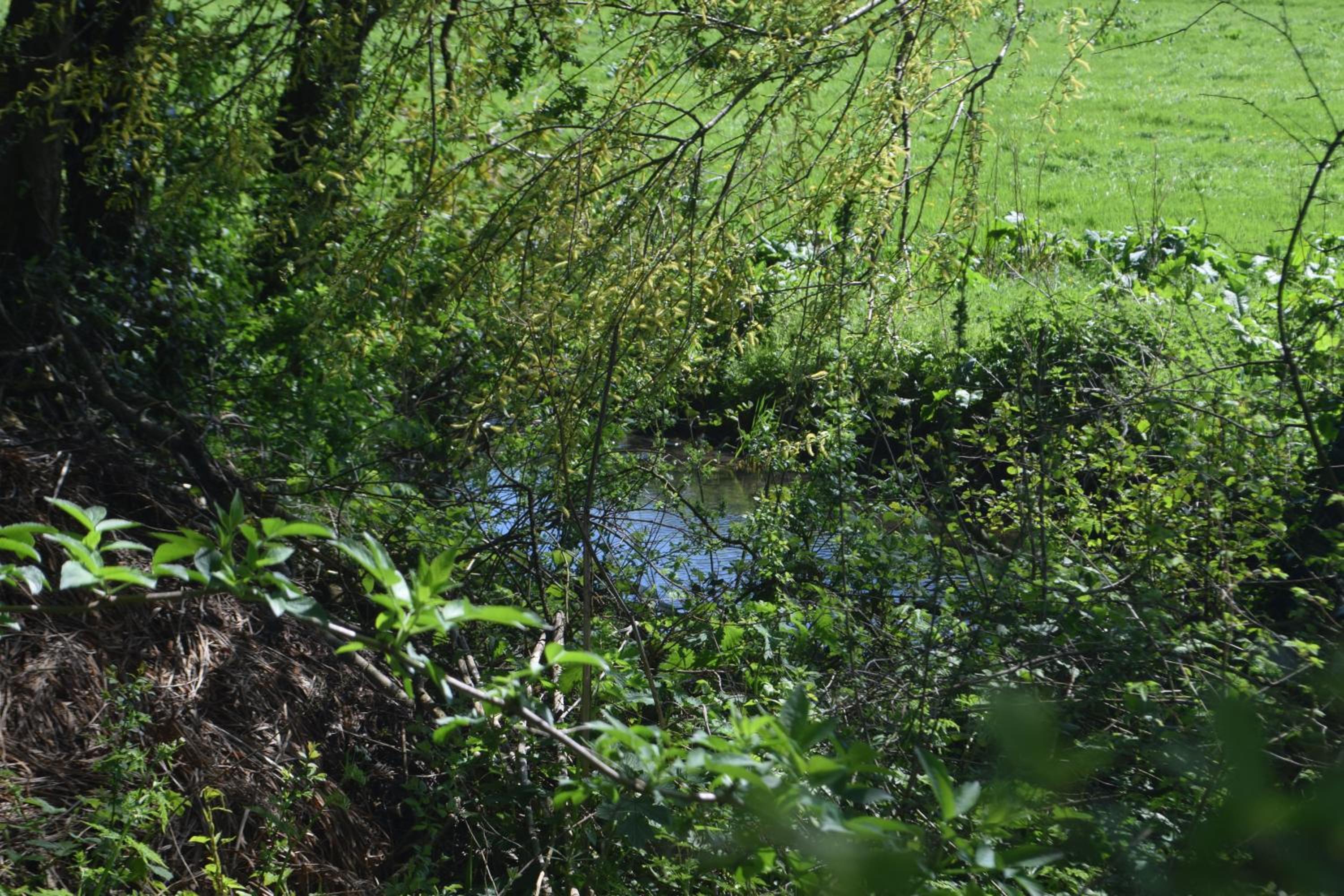 Photo 24