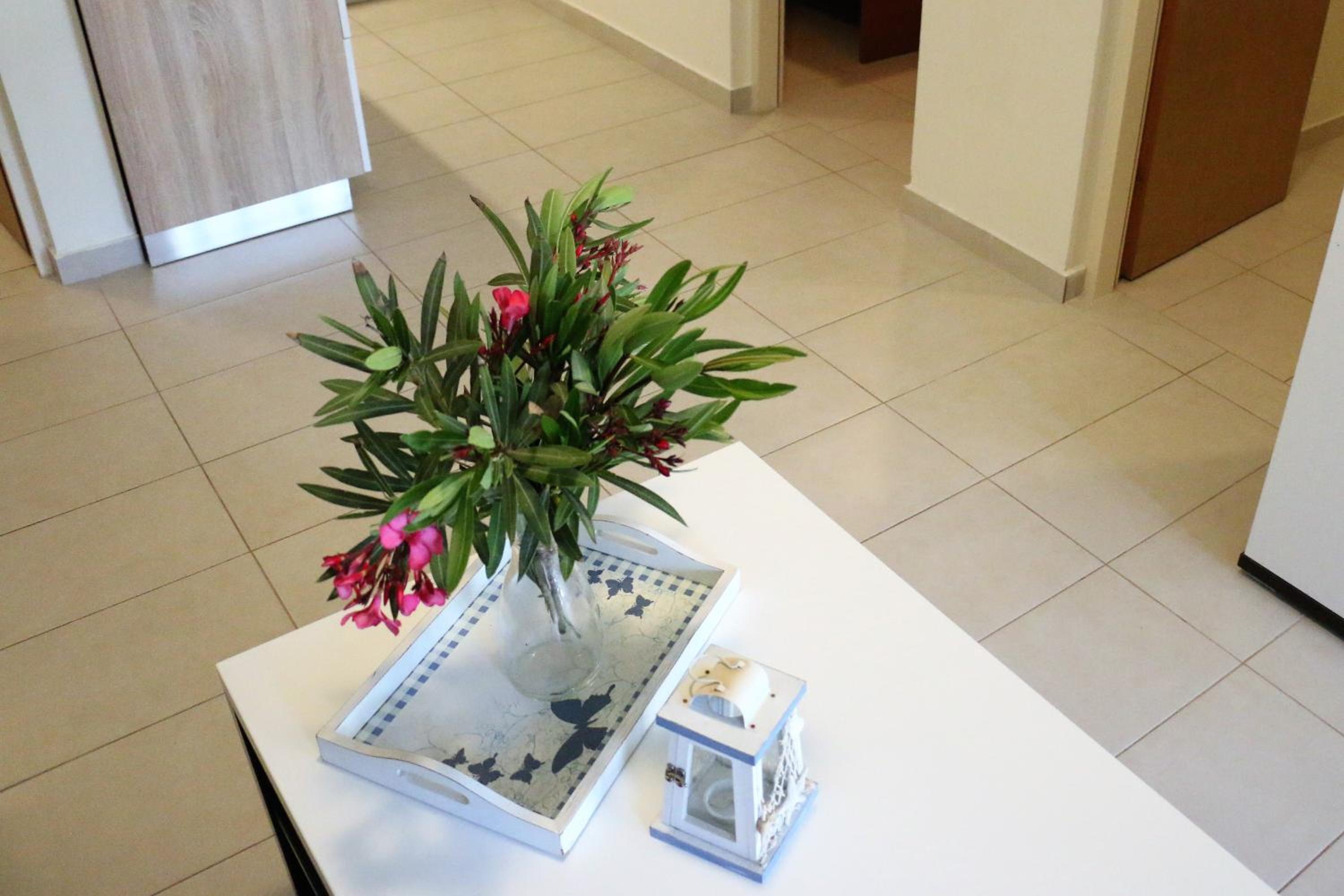 Apartments Vir Delfin