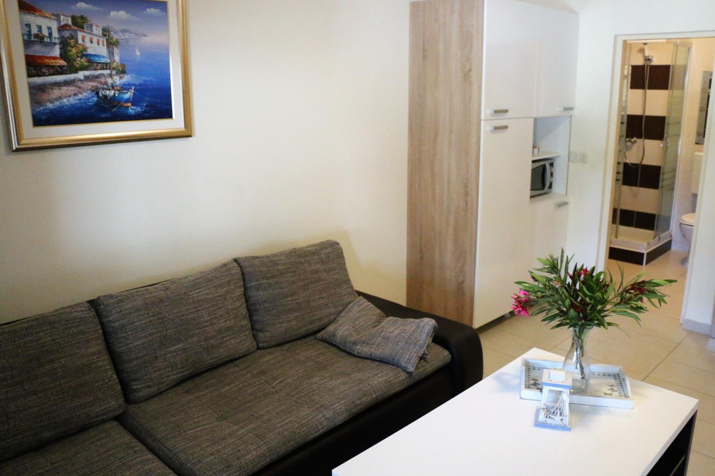 Apartments Vir Delfin