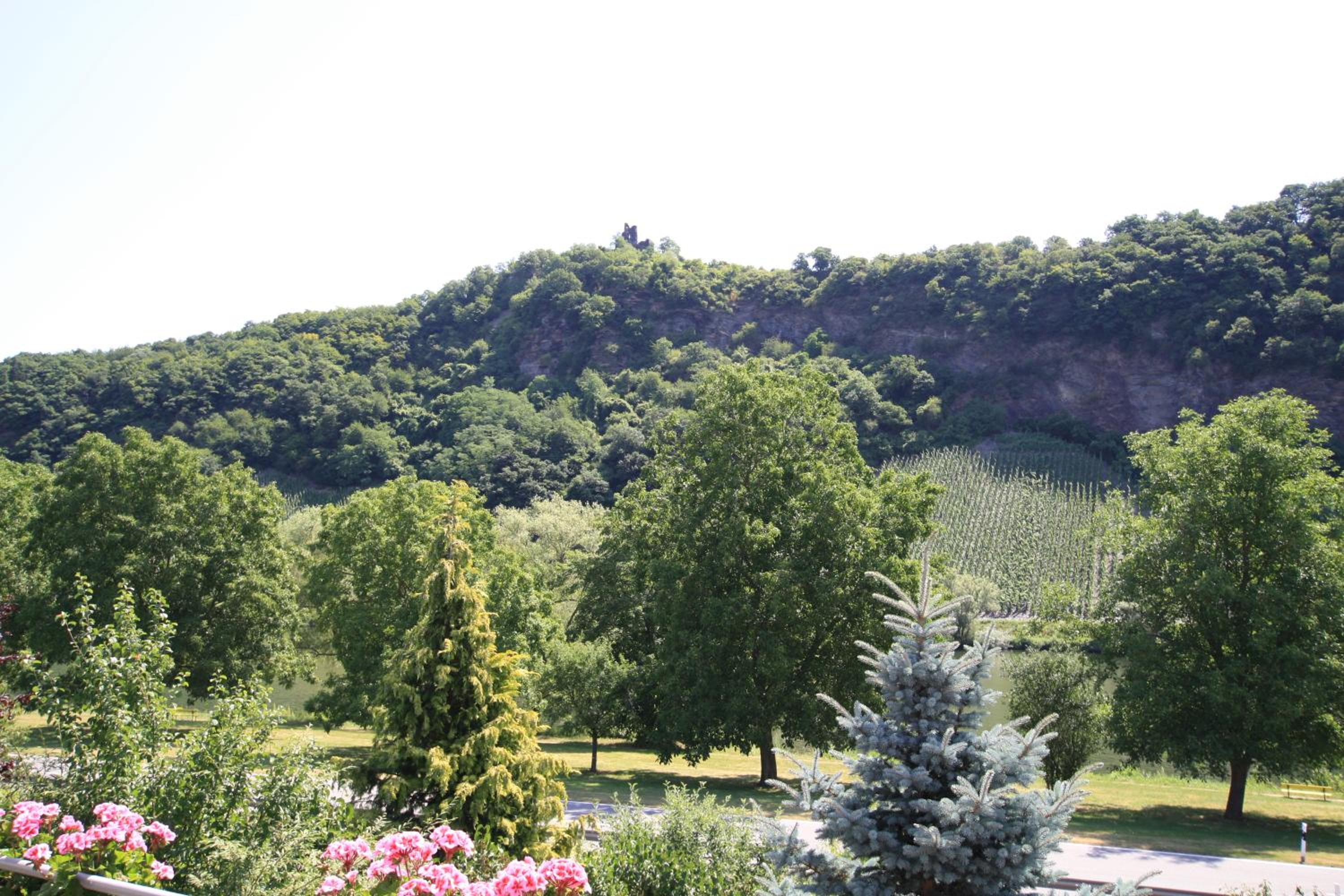 Weingut Bernd Hermes