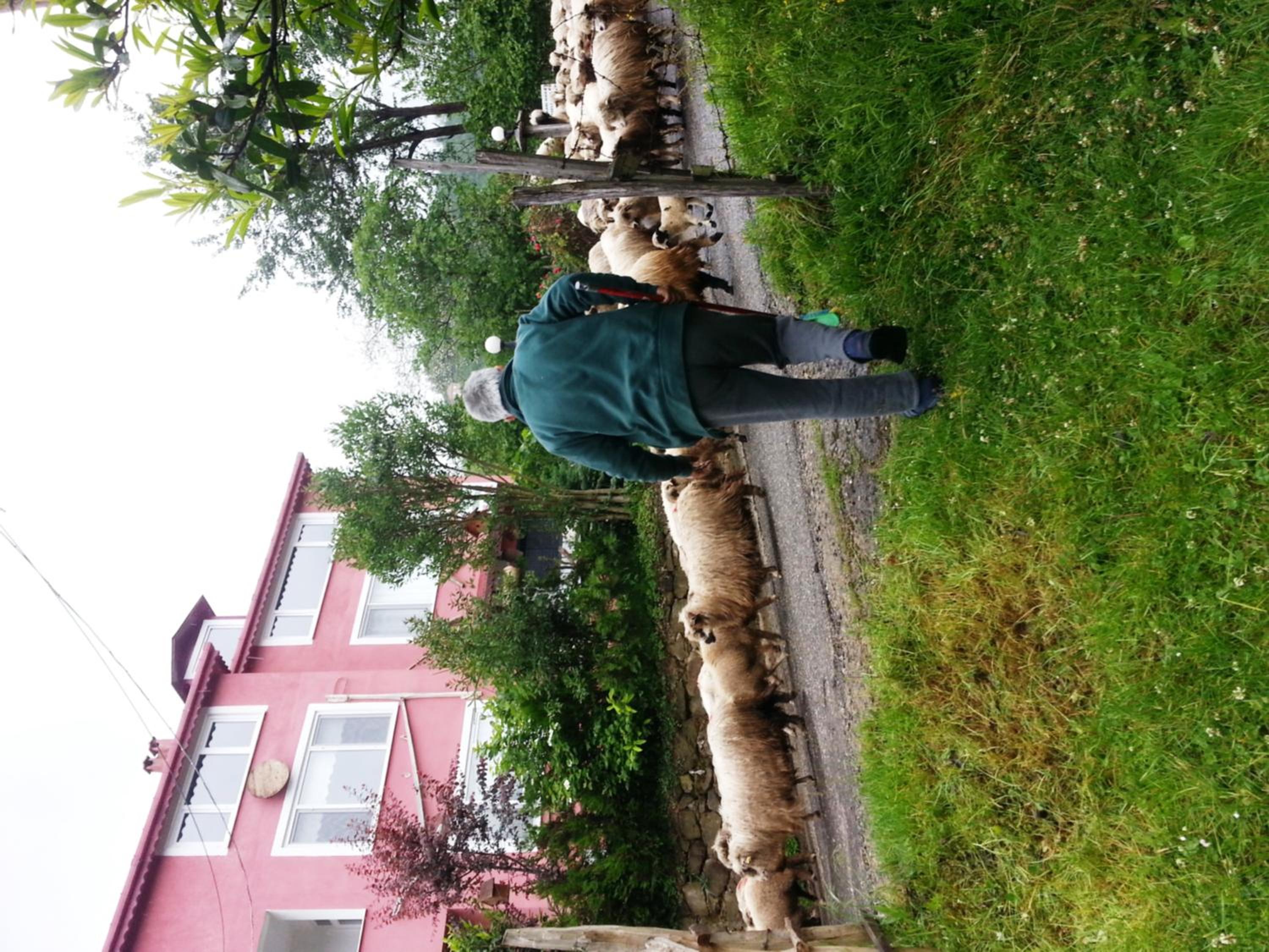Photo 52