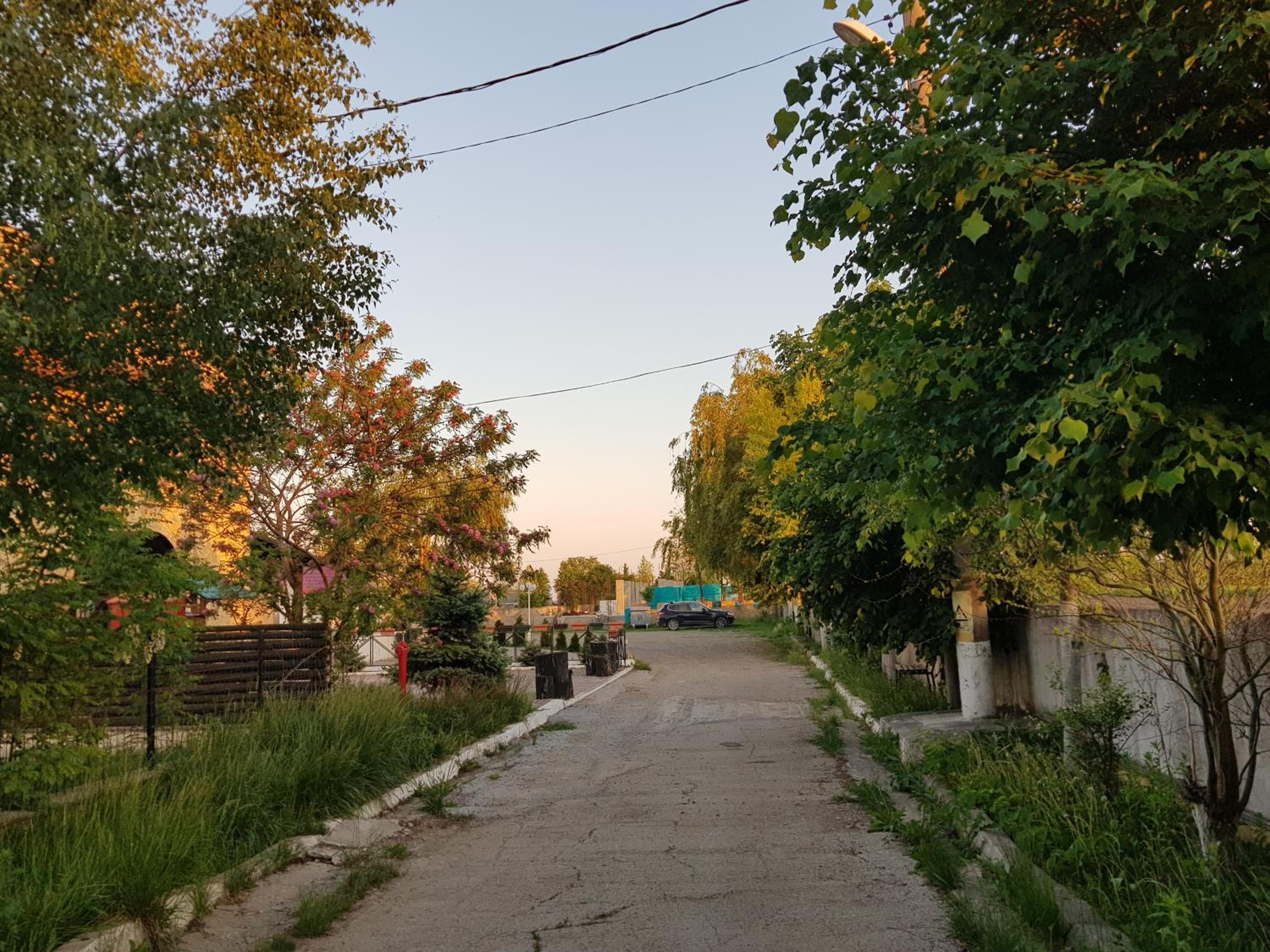 Photo 49