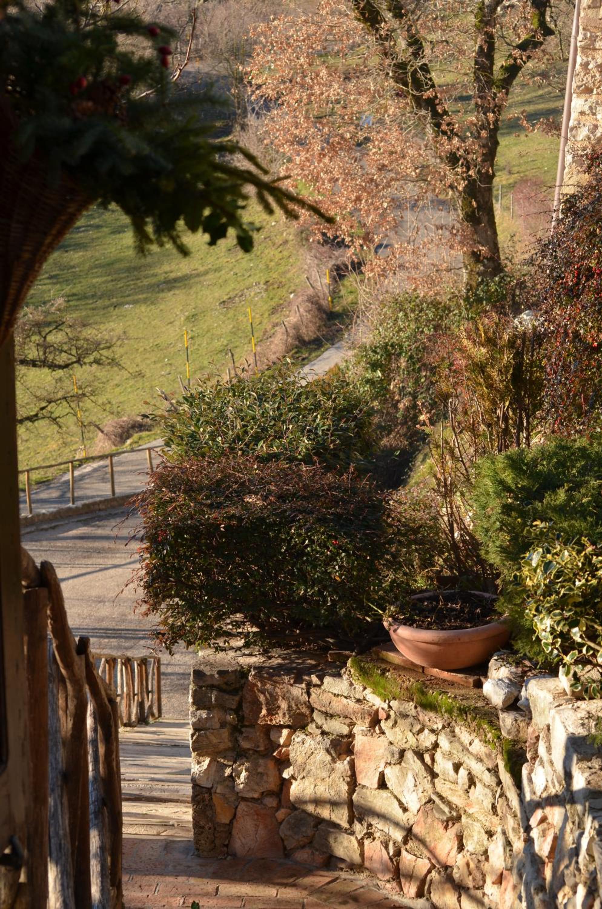 Agriturismo Pettino