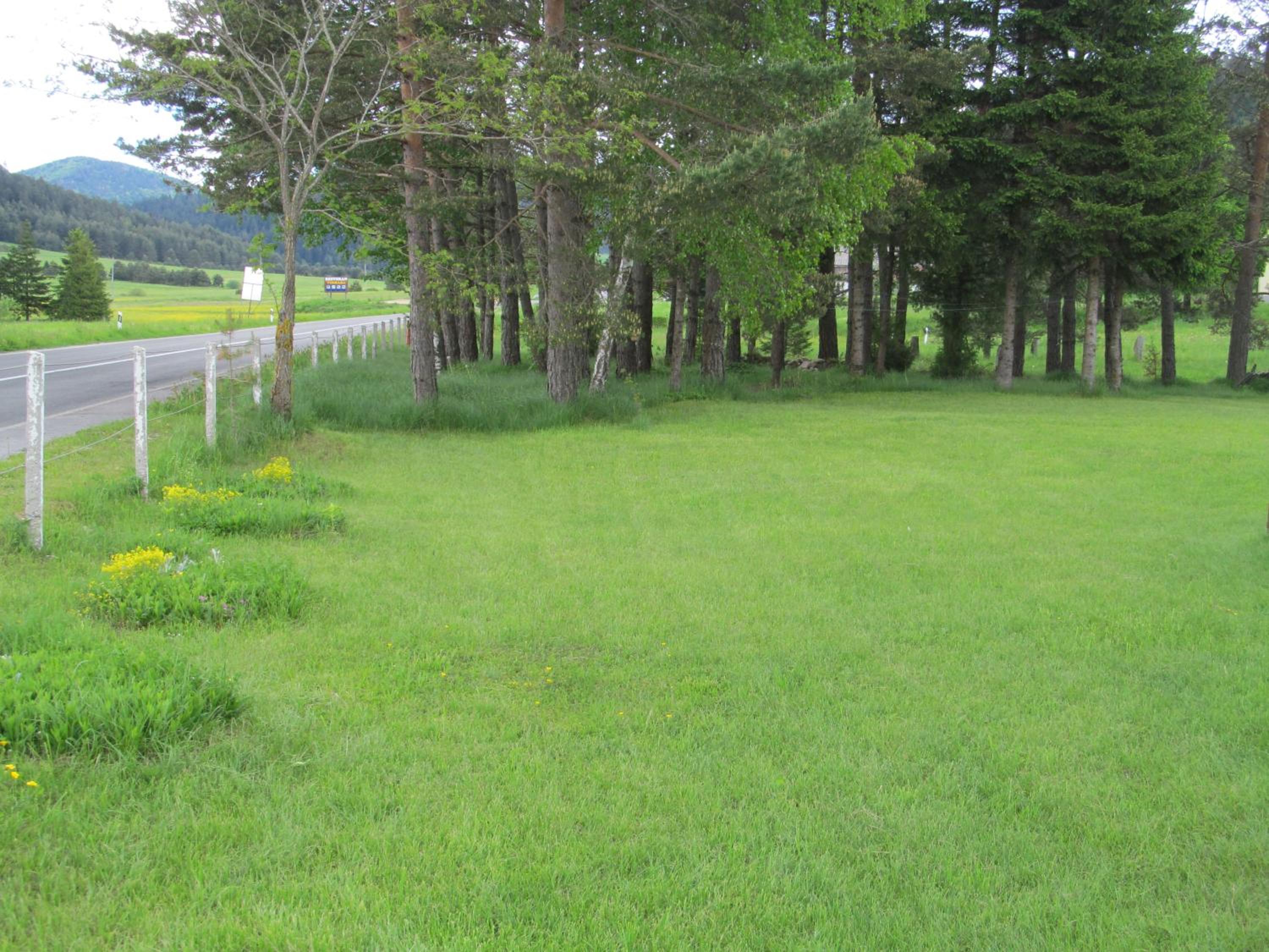 Photo 49