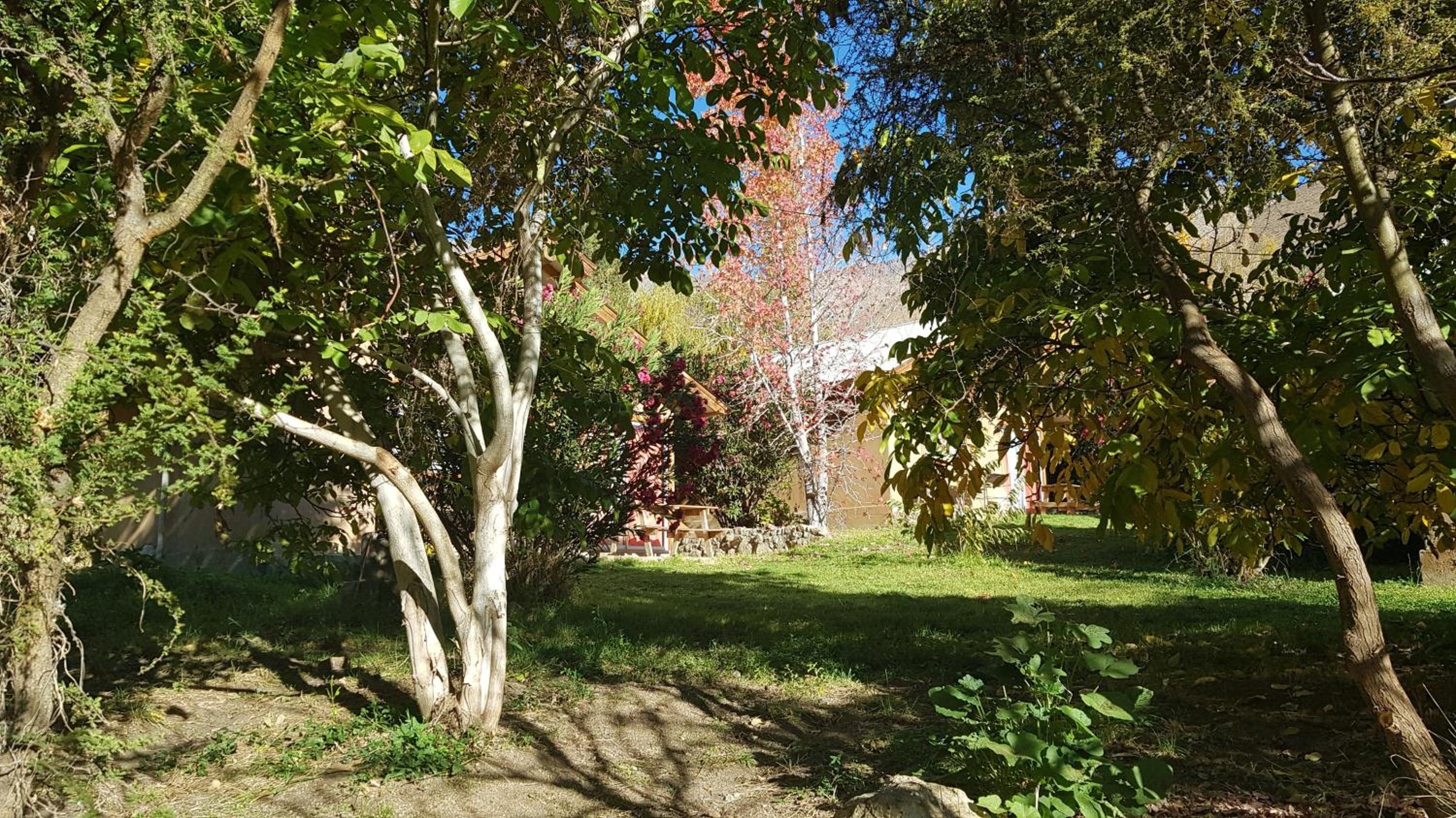 Photo 40