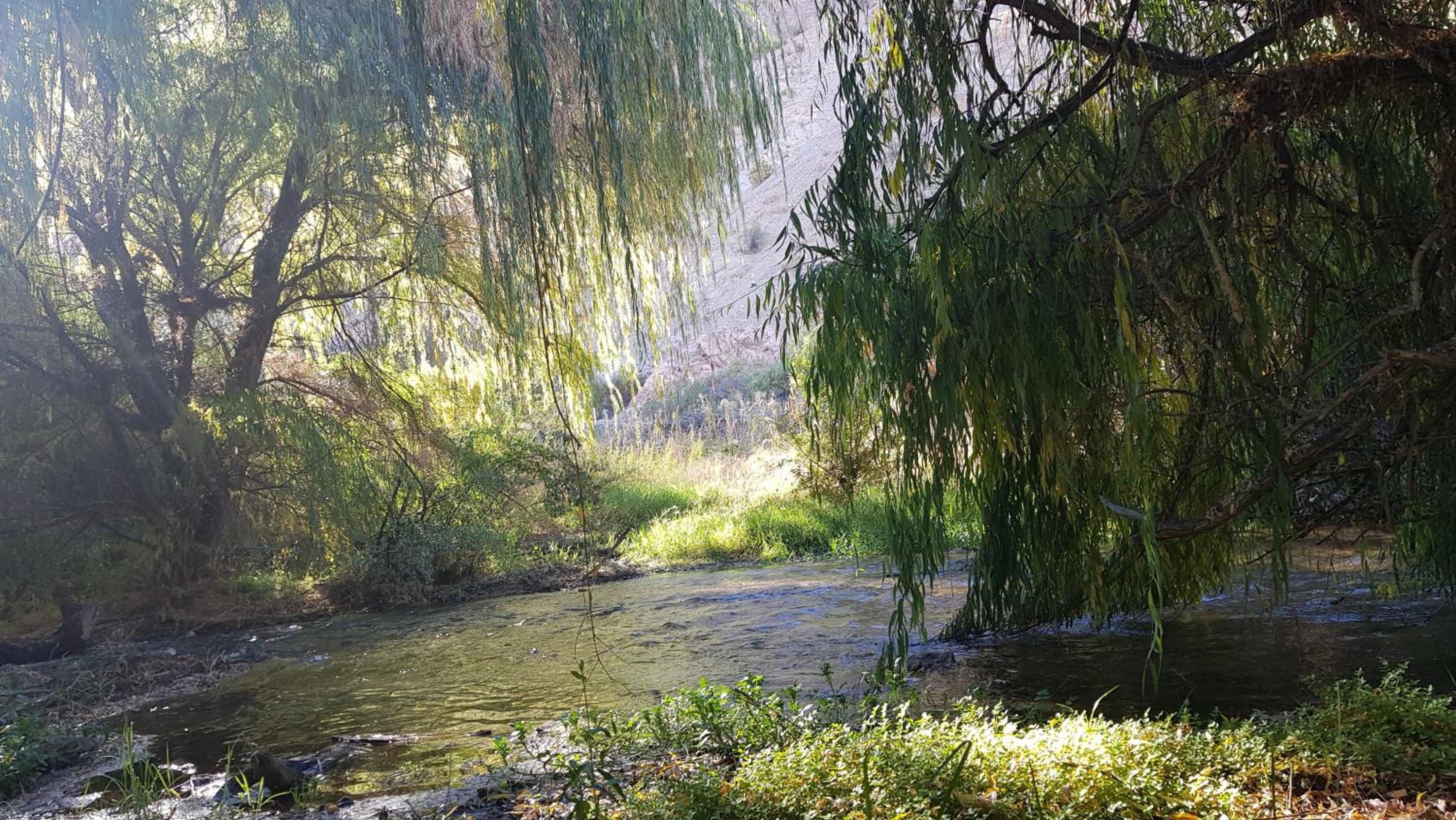 Photo 41
